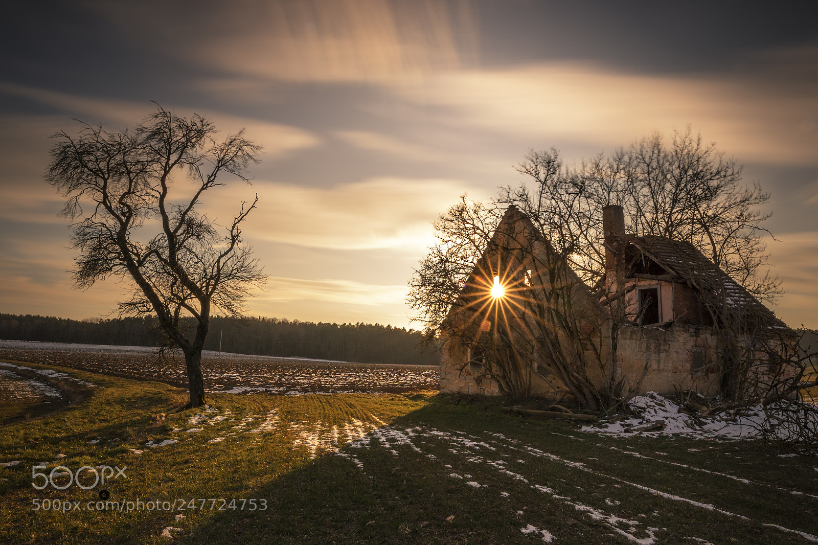 Canon EOS 7D Mark II sample photo. Sunrays photography