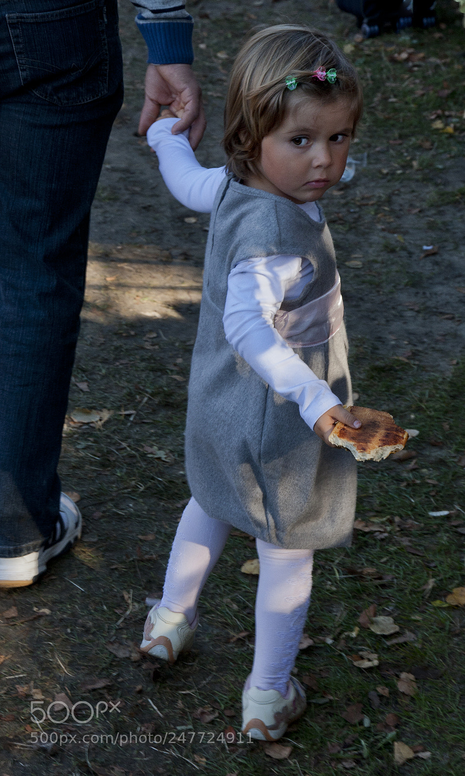 Canon EOS 40D sample photo. Closeness (4) photography