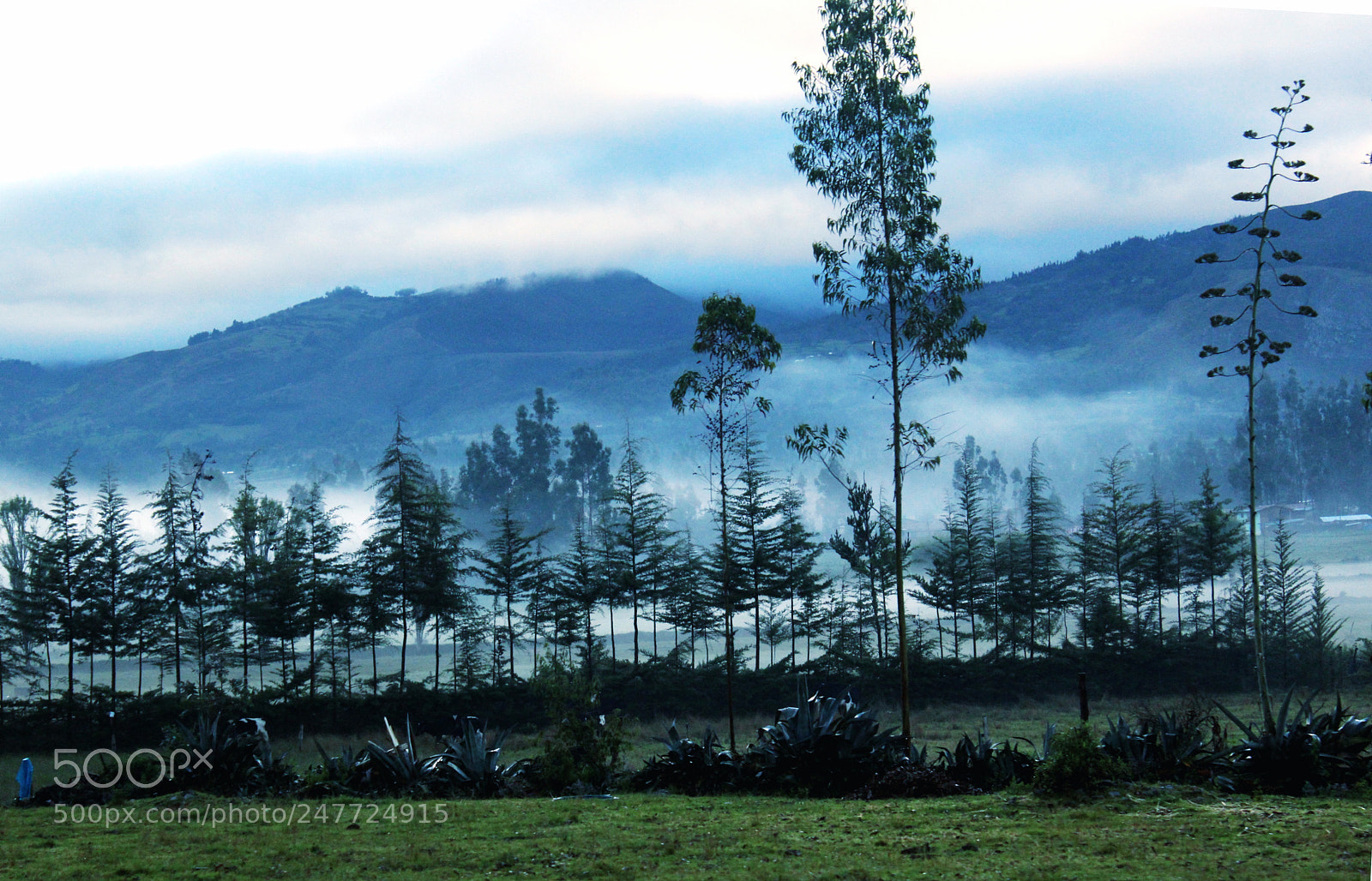 Canon EOS 1200D (EOS Rebel T5 / EOS Kiss X70 / EOS Hi) sample photo. Paisaje de amanecer con photography