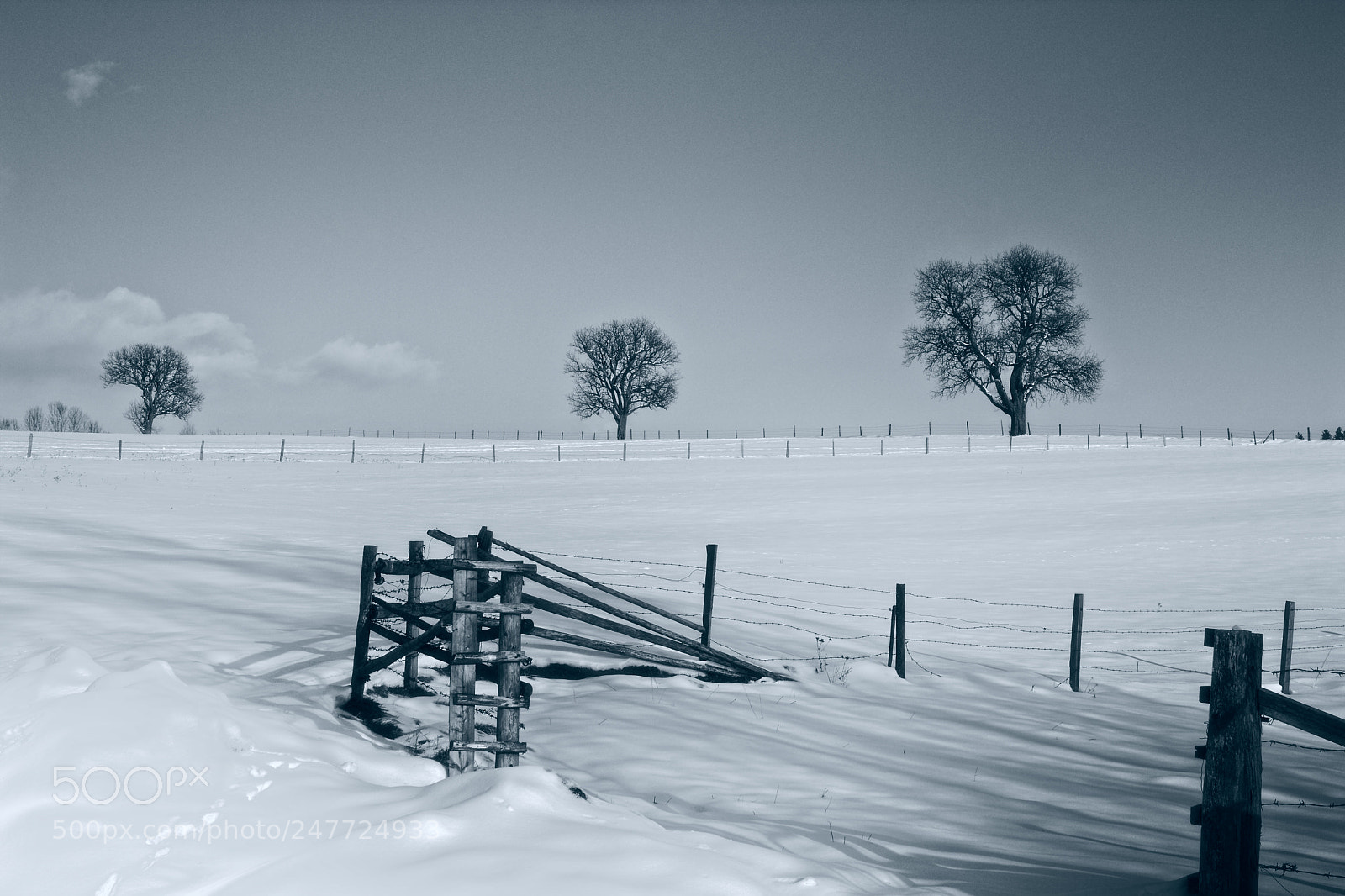 Nikon D7100 sample photo. Beautiful winterday photography