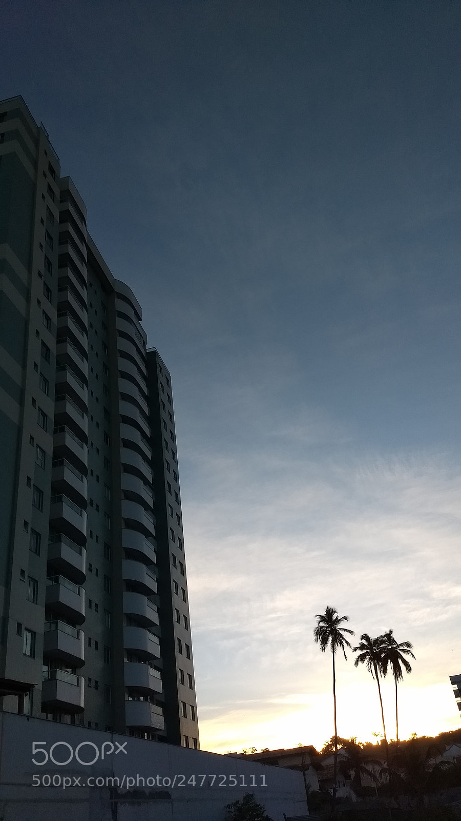 Motorola Moto G (5) Plus sample photo. A beautiful afternoon in photography