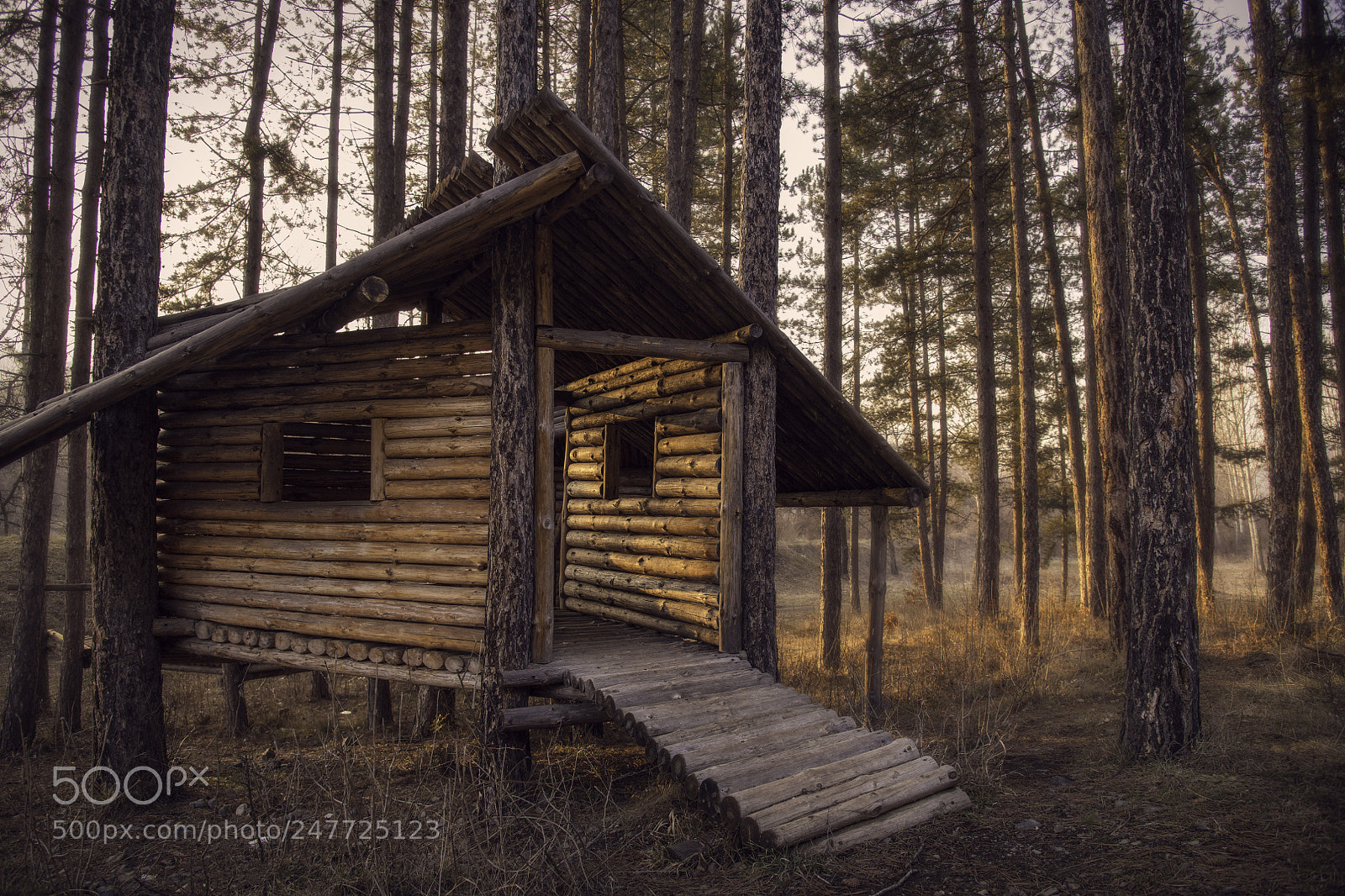 Nikon D850 sample photo. Cabin in the woods photography