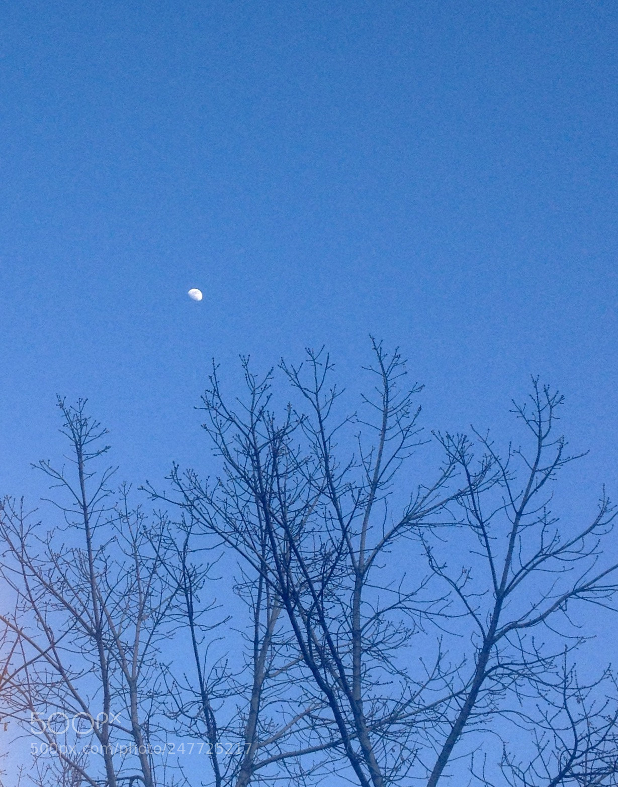 Apple iPhone 4S sample photo. Untitled photography