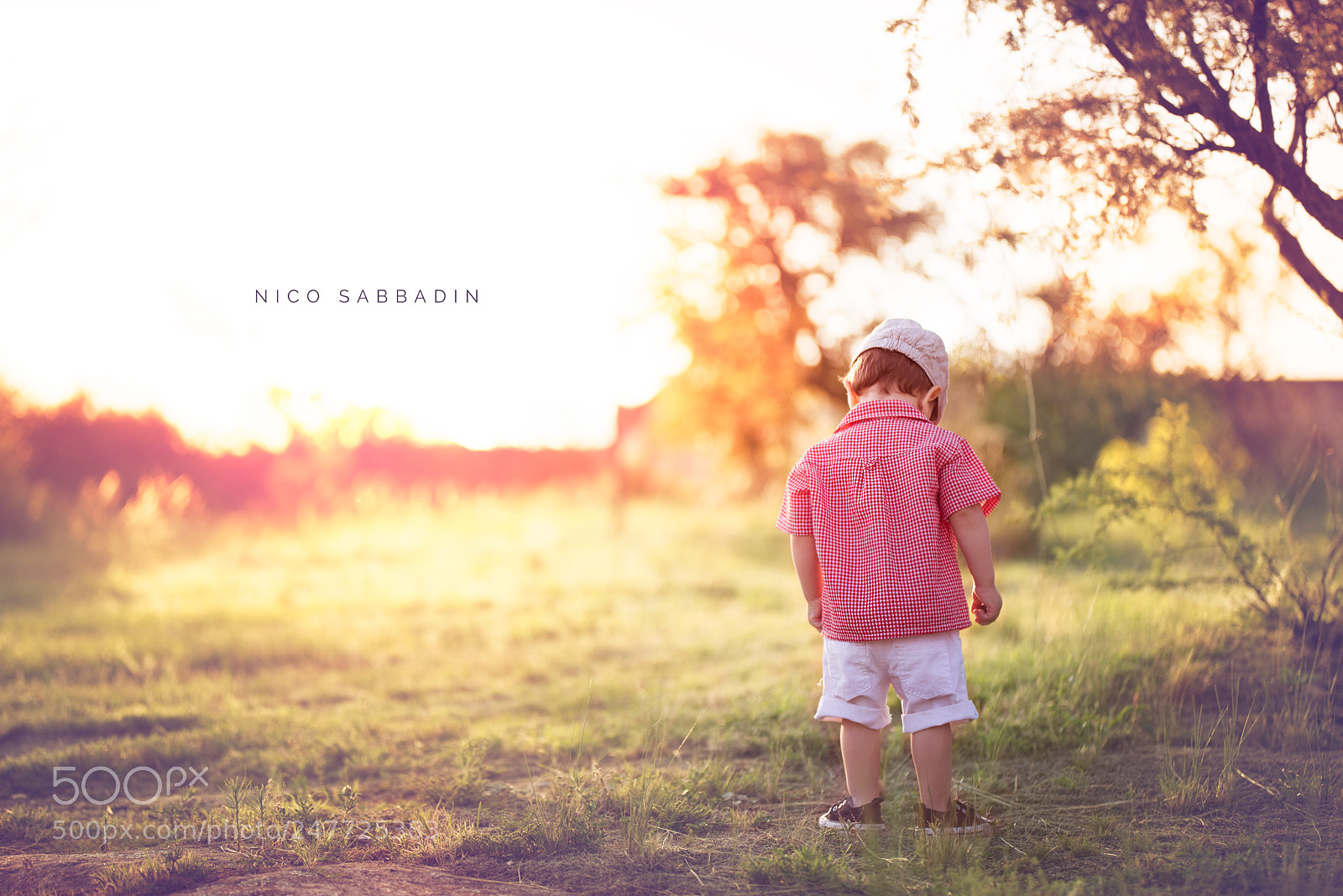 Nikon D810 sample photo. Sunshine of your love! photography