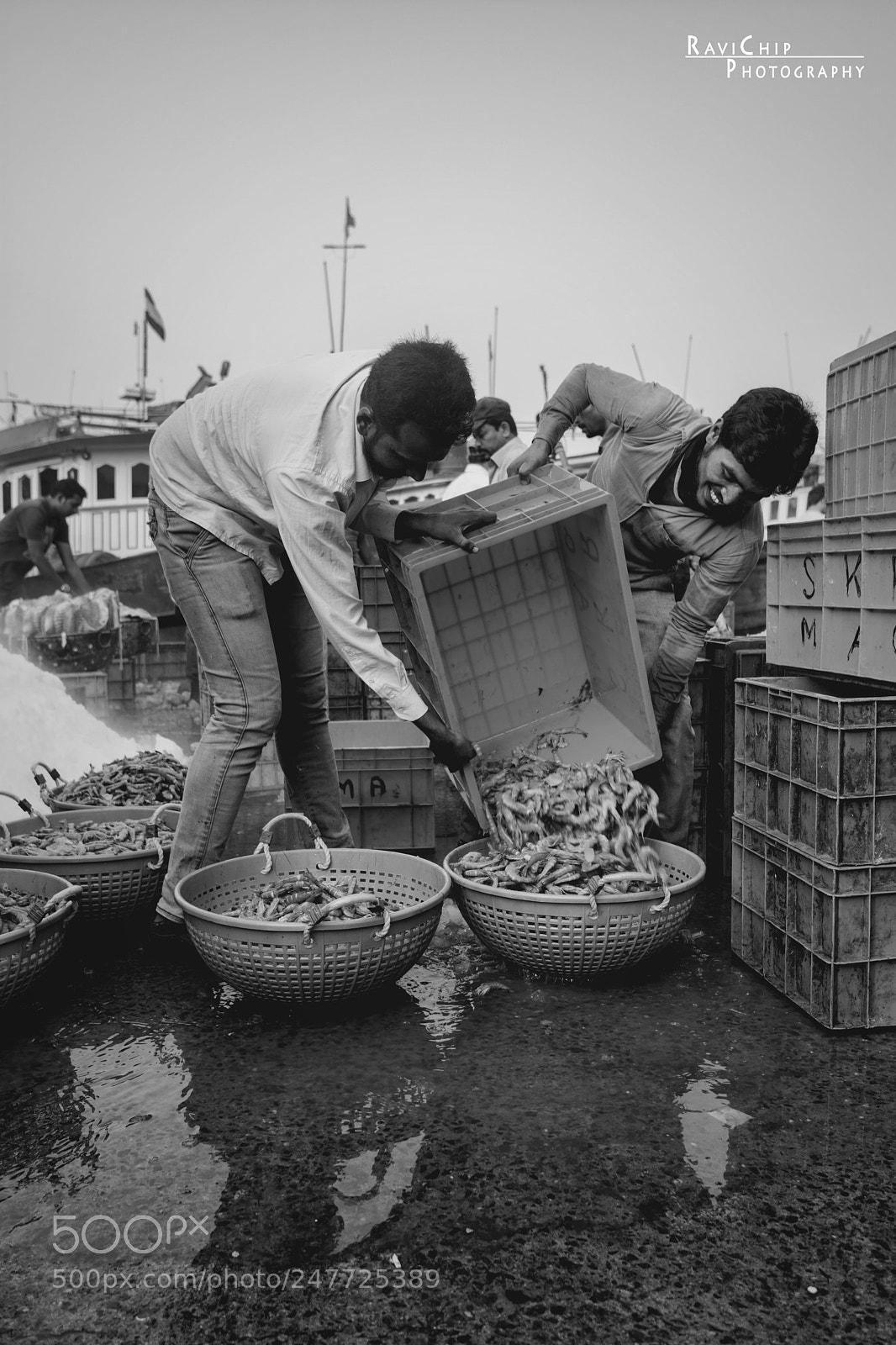Nikon D7100 sample photo. Fresh catch photography
