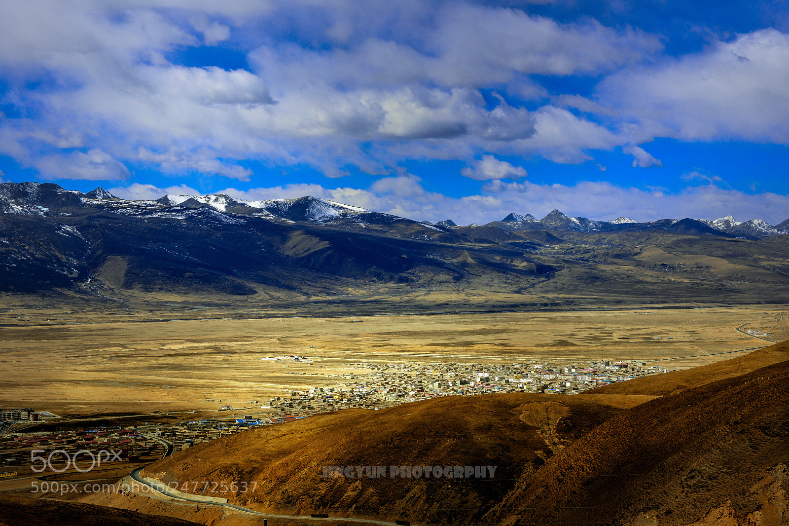 Nikon D800 sample photo. Untitled photography