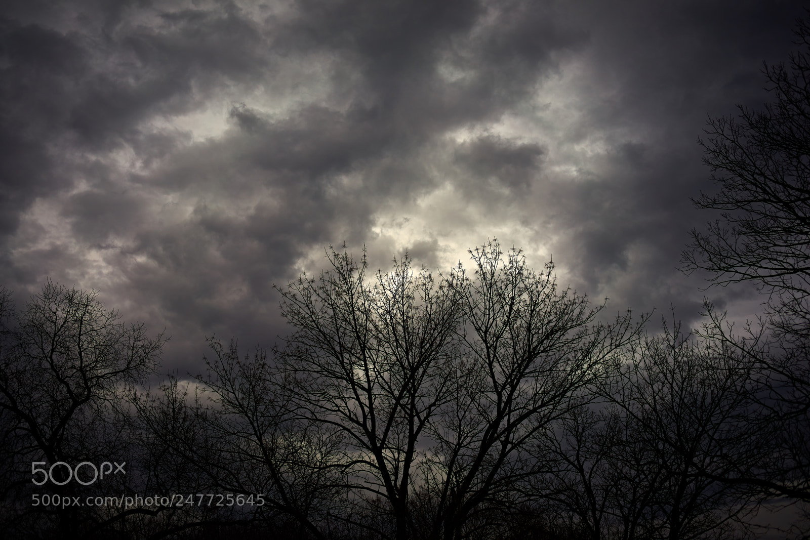 Sony a7 II sample photo. Moody skies photography