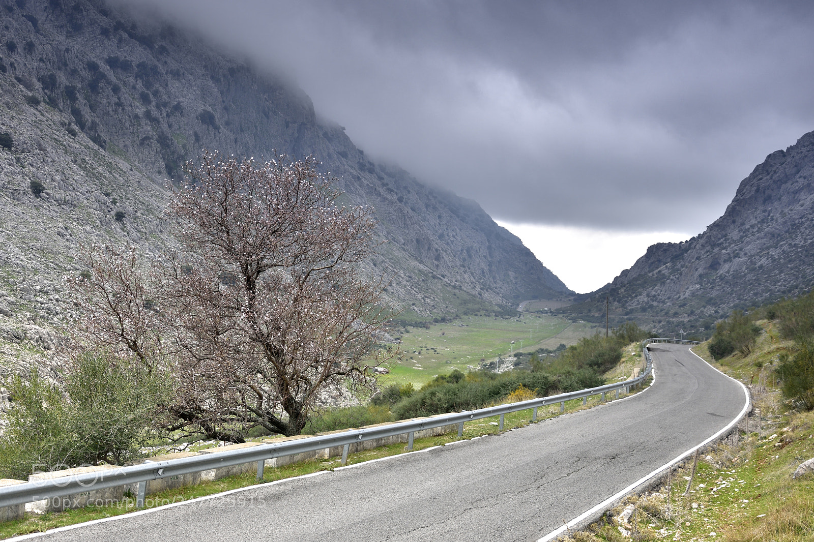 Nikon D7200 sample photo. La carretera. photography