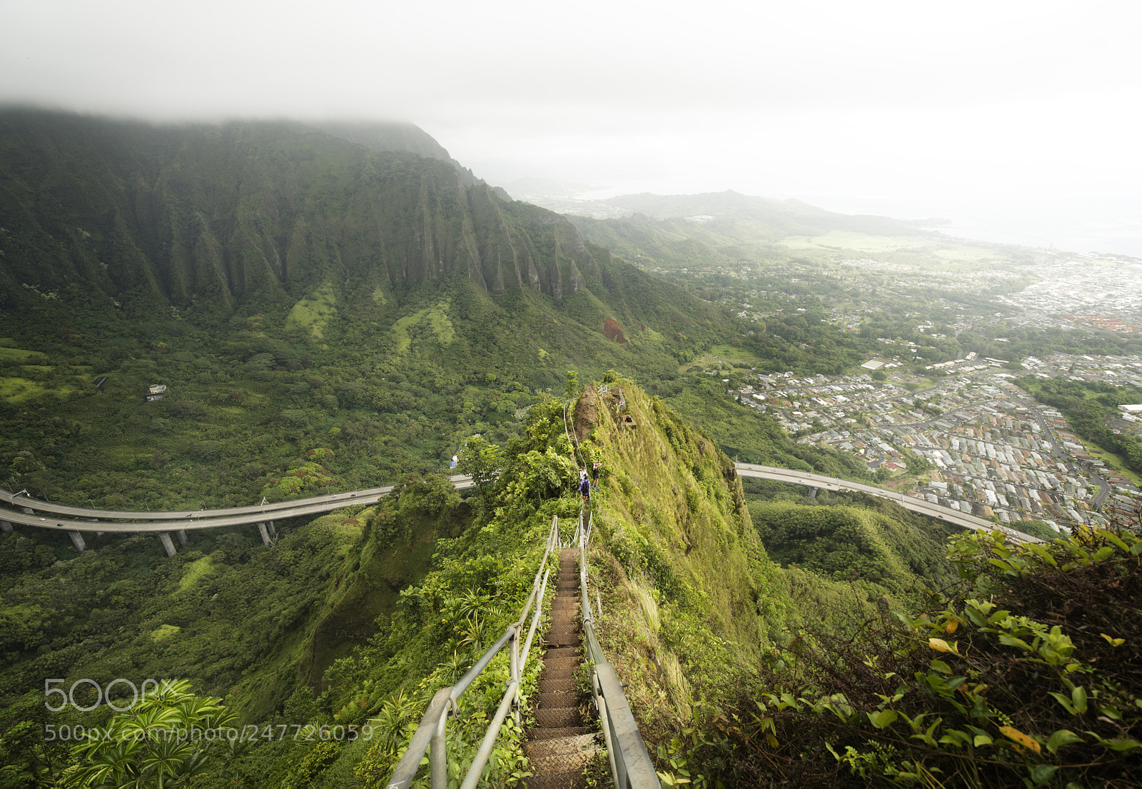 Nikon D810 sample photo. Heaven's view photography