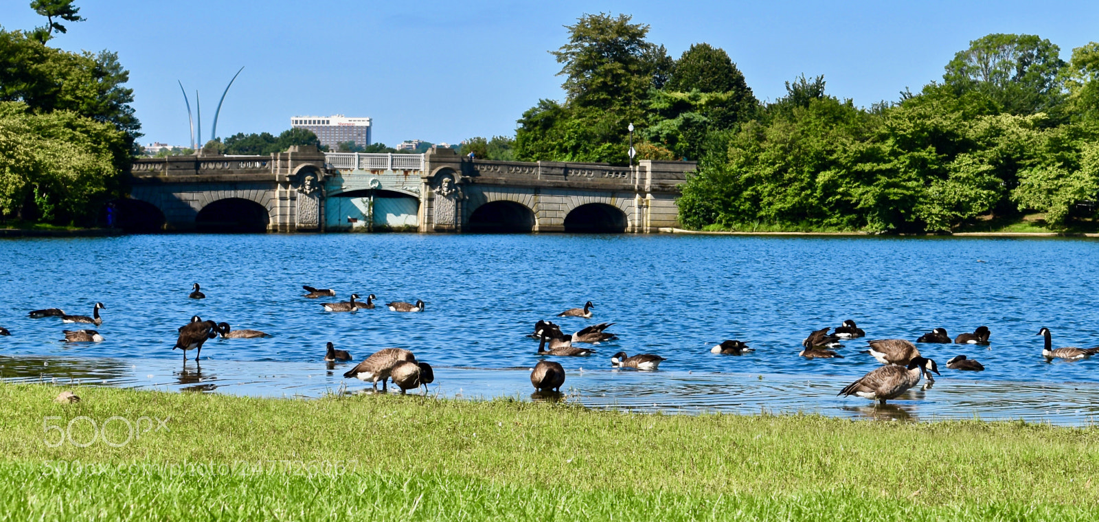 Nikon D5600 sample photo. Dating summer photography