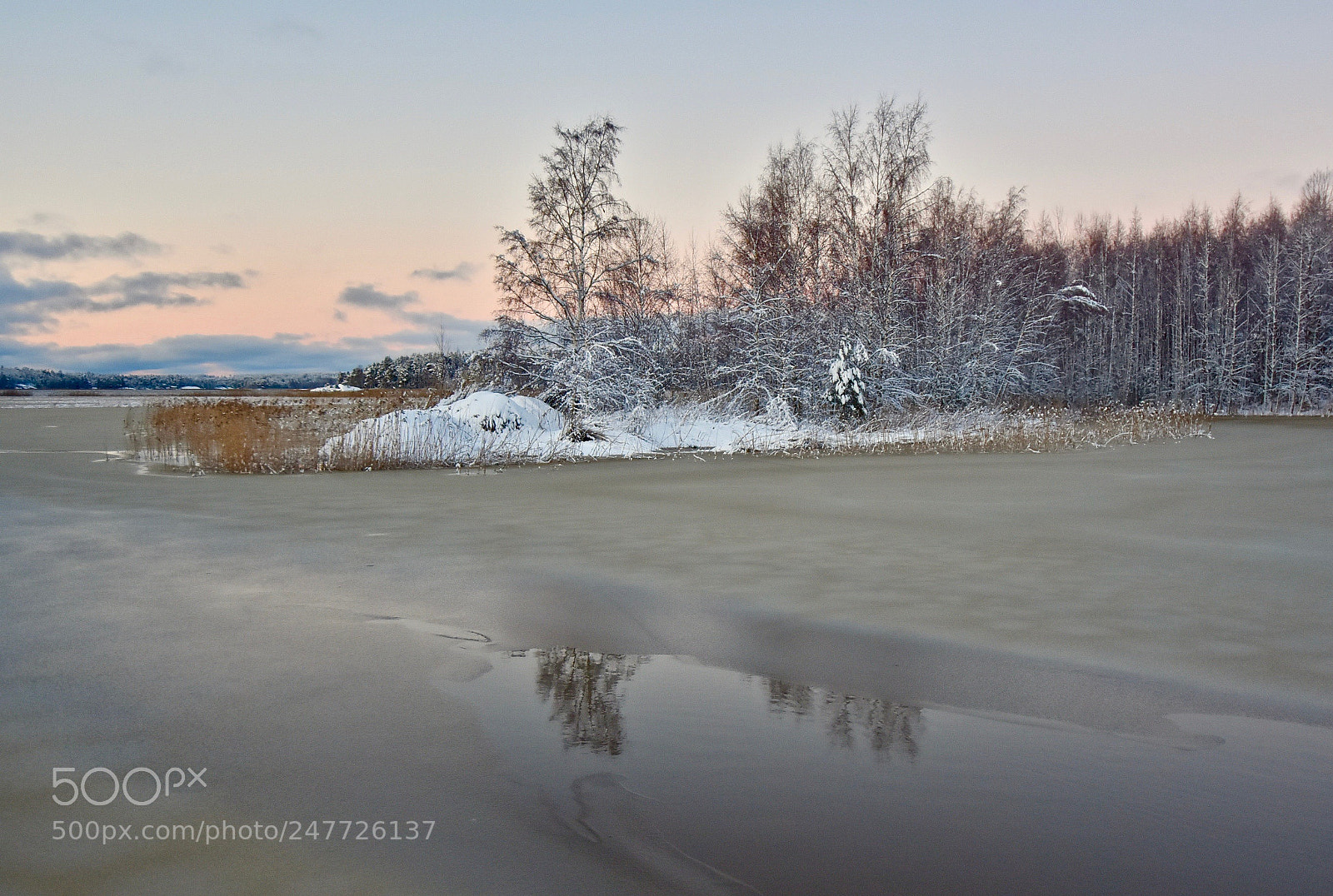 Nikon D7200 sample photo. Reflection photography