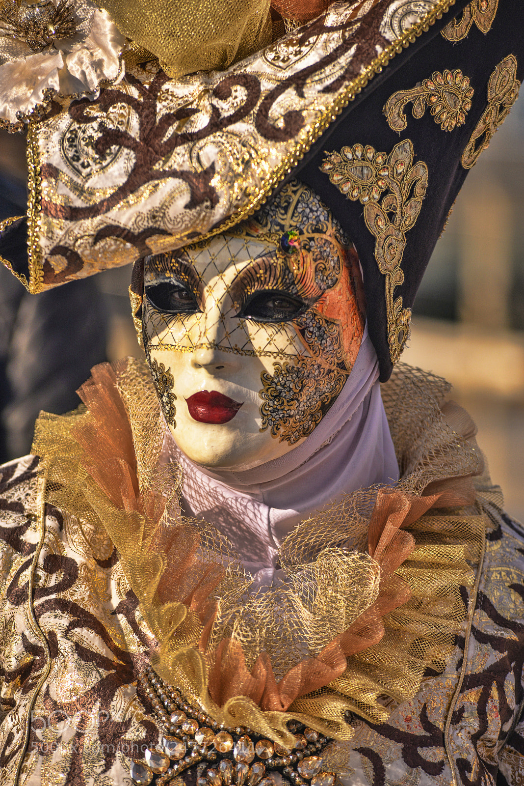 Nikon D800 sample photo. Who is behind the photography