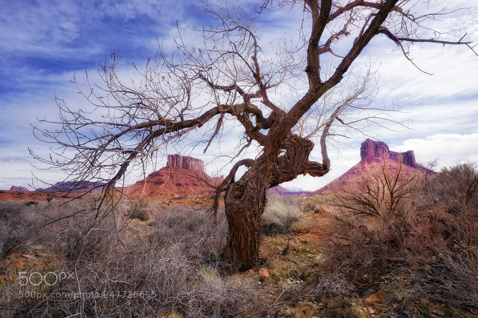 Sony a7 sample photo. The high desert photography