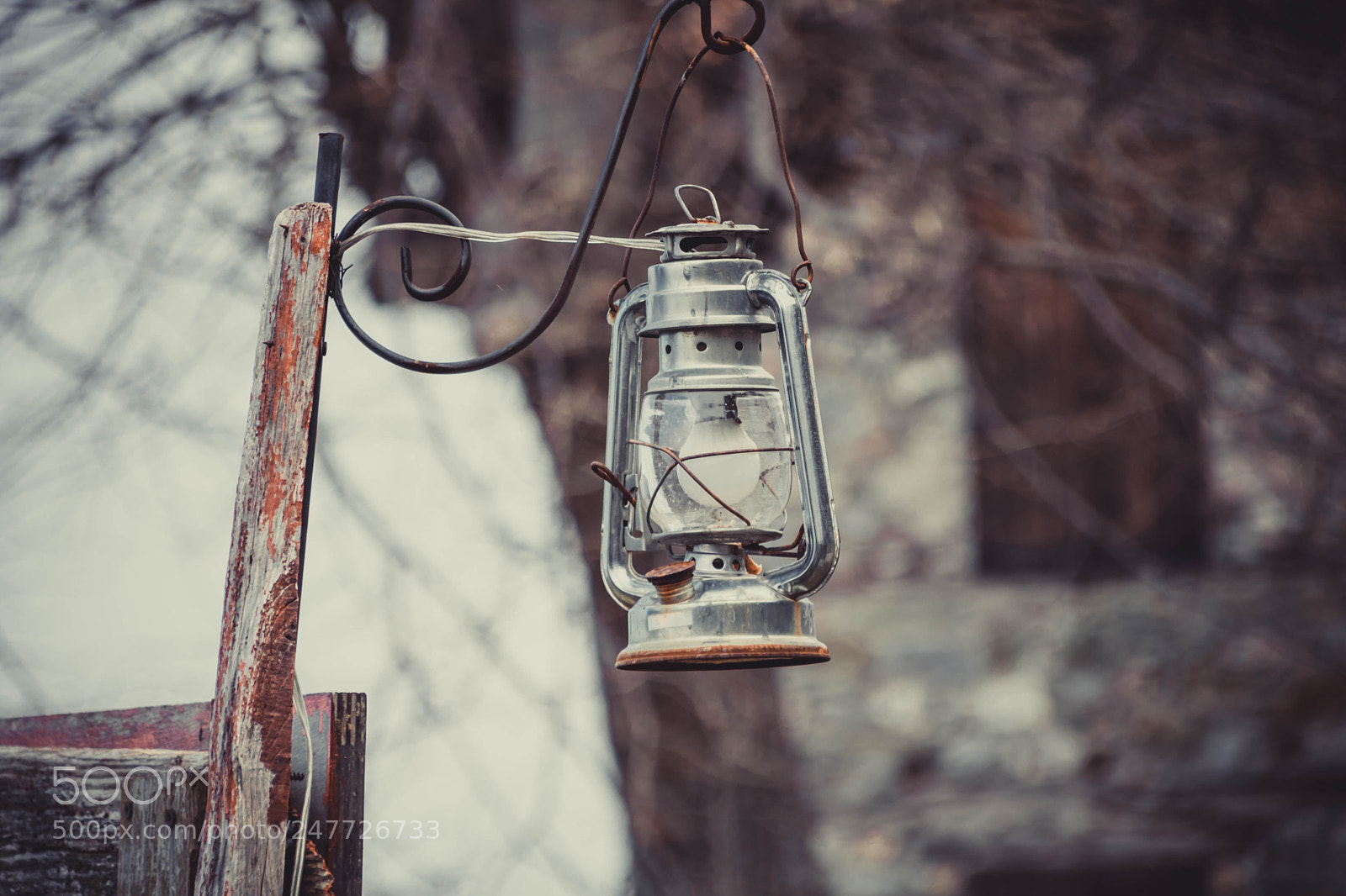 Canon EOS 750D (EOS Rebel T6i / EOS Kiss X8i) sample photo. Lamp photography