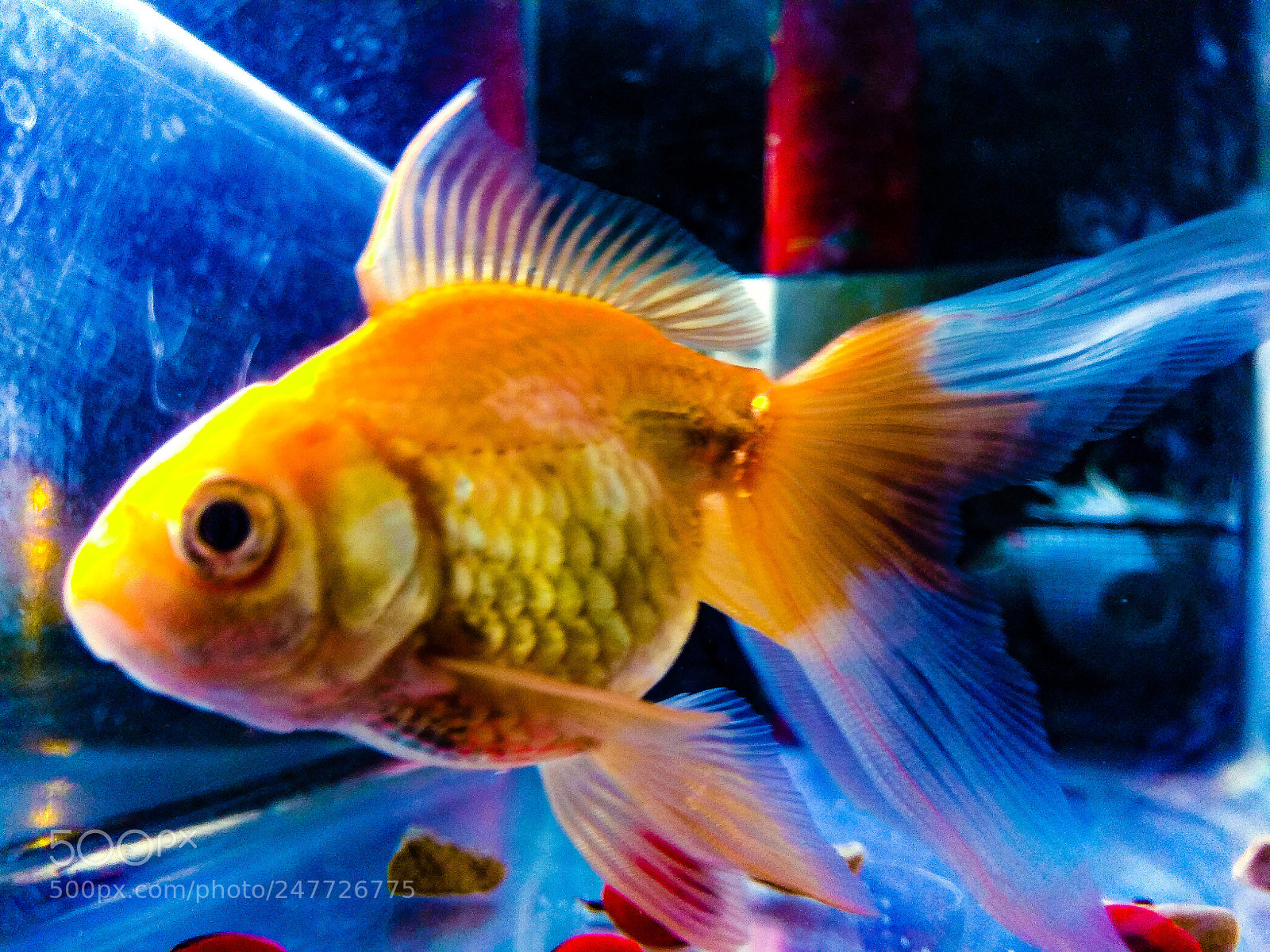Xiaomi Redmi Note 4 sample photo. Untitled photography