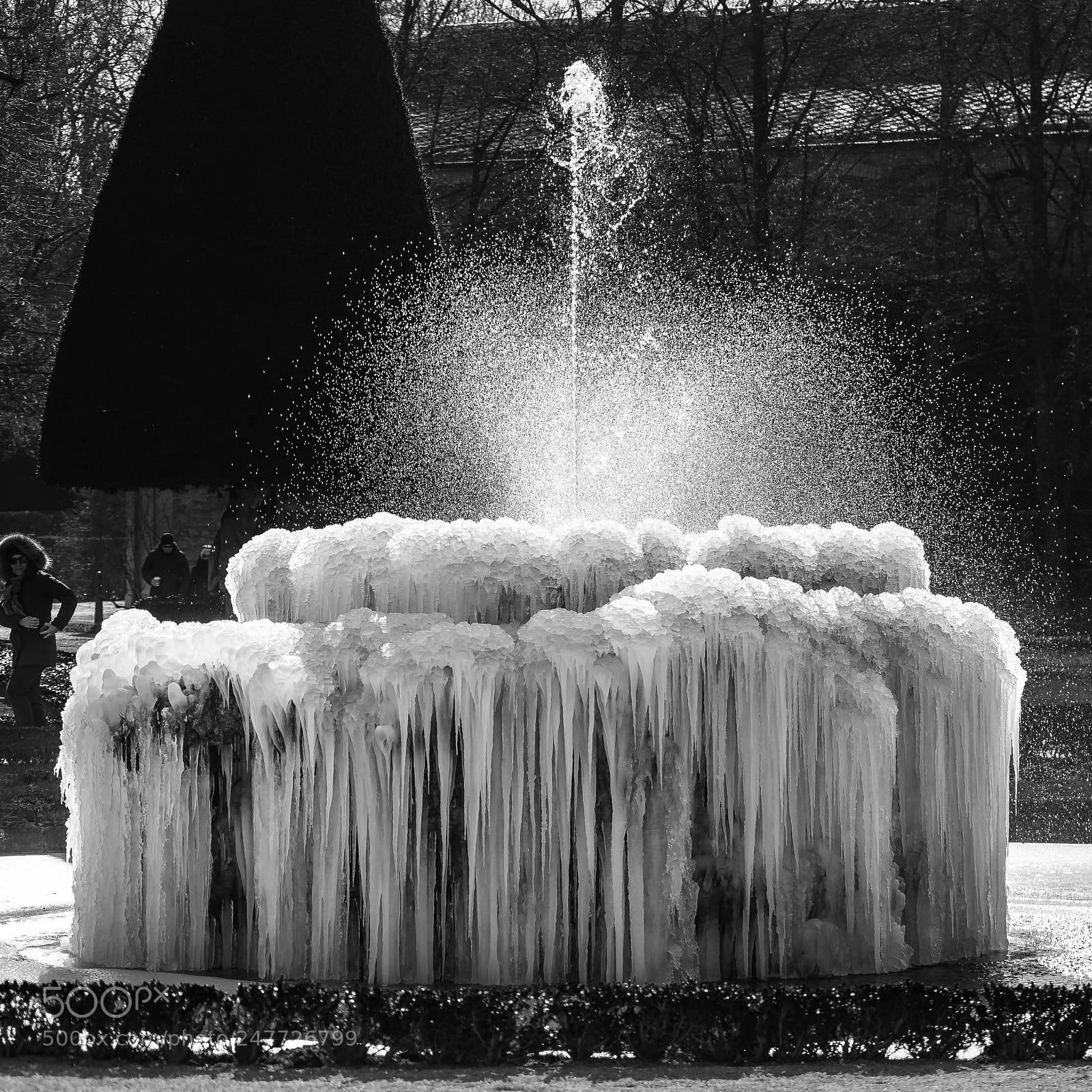 Nikon D610 sample photo. Fontäne b/w photography