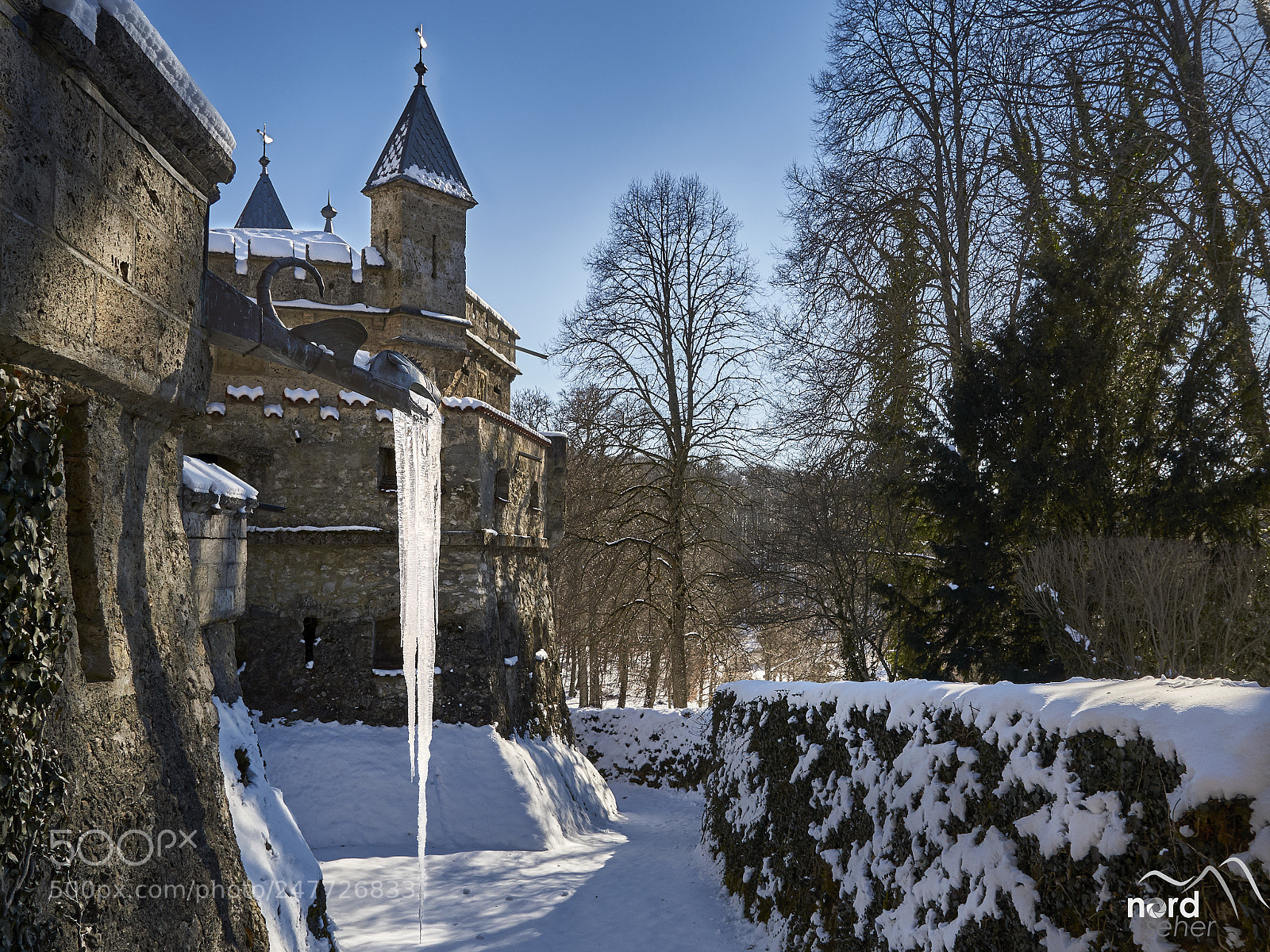 Sony SLT-A77 sample photo. Der drachen eis speier photography