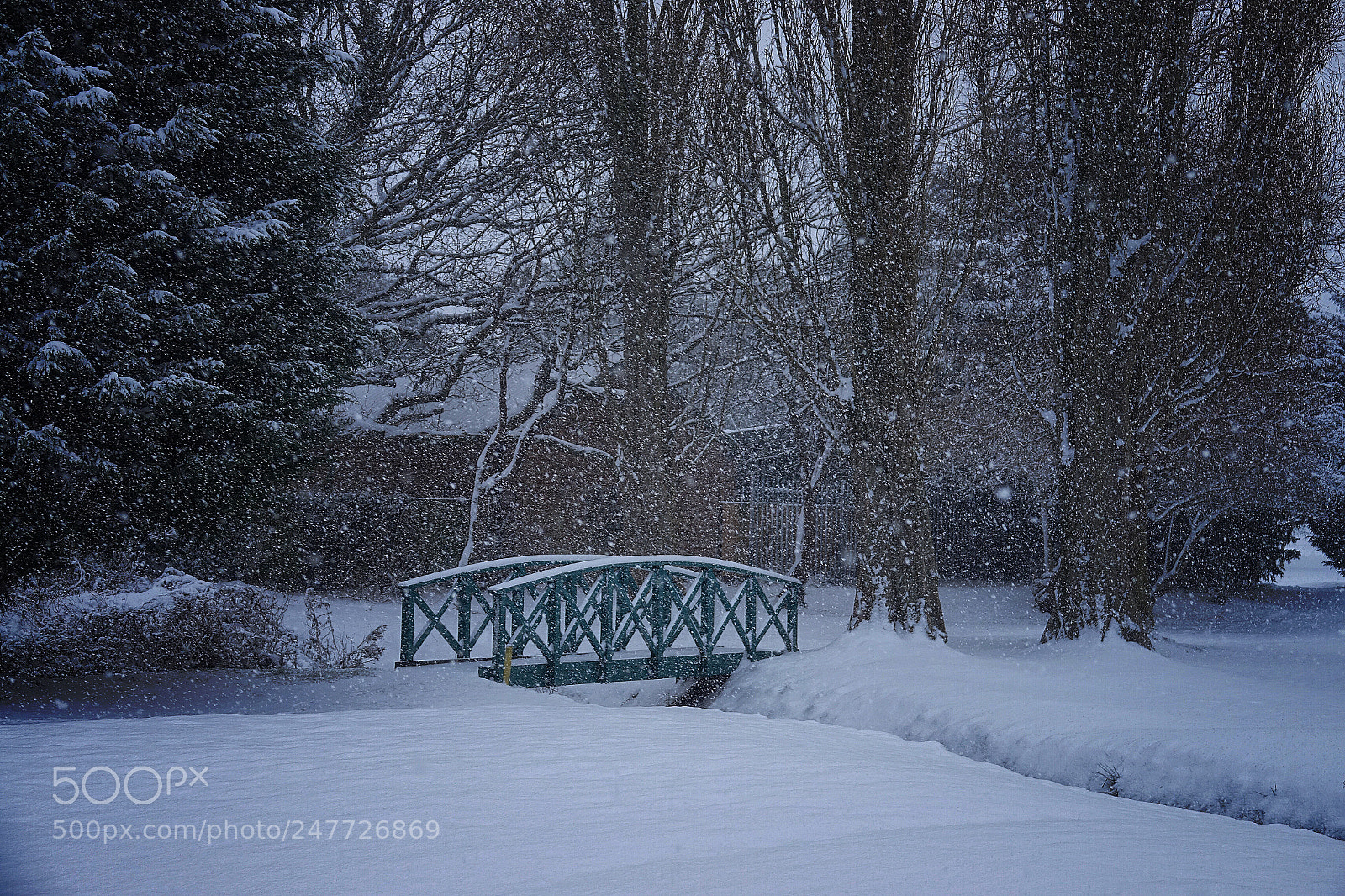 Sony Cyber-shot DSC-RX10 III sample photo. A snowy day.. photography