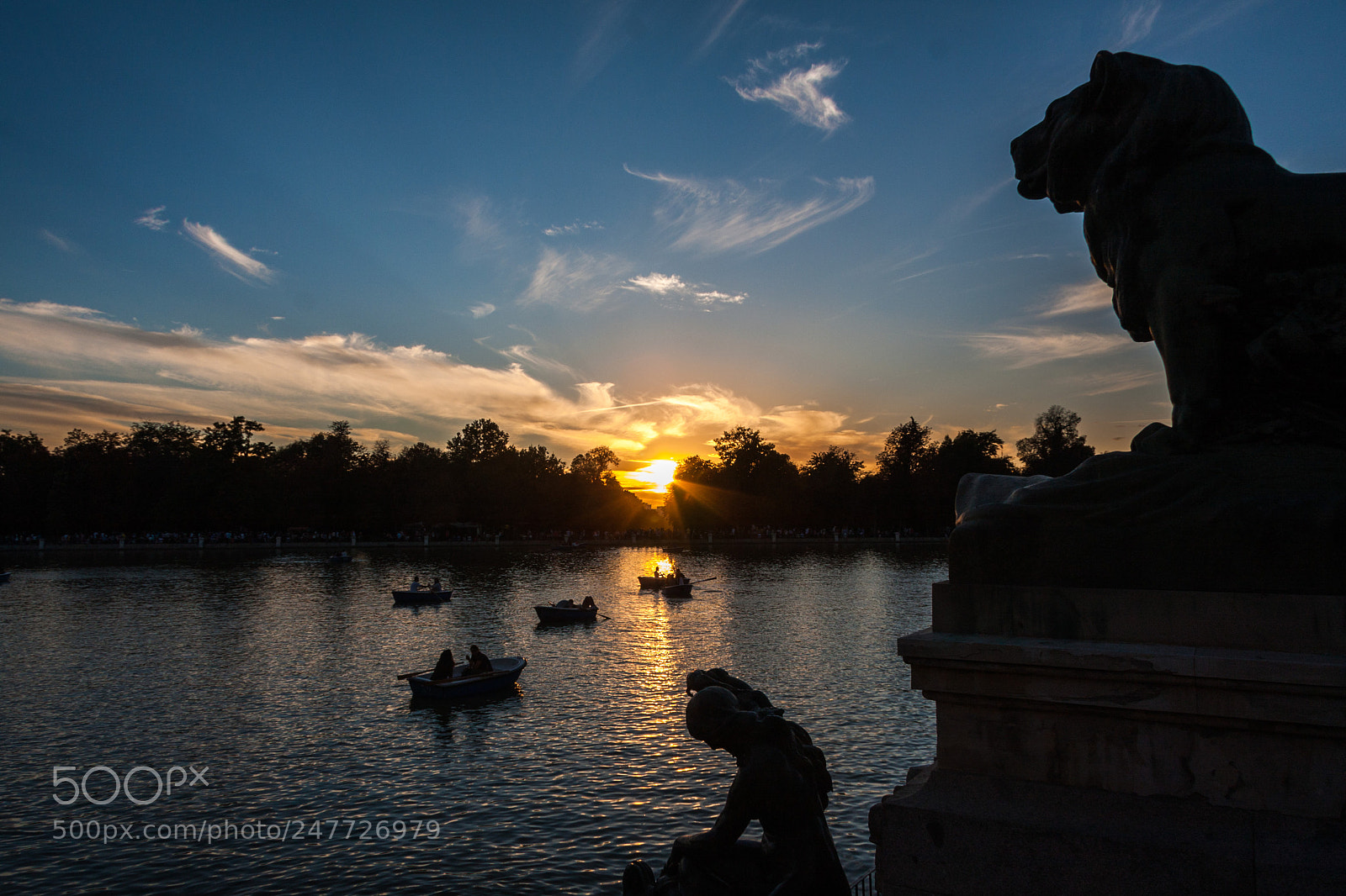 Canon EOS 40D sample photo. Lion looking at sunset photography
