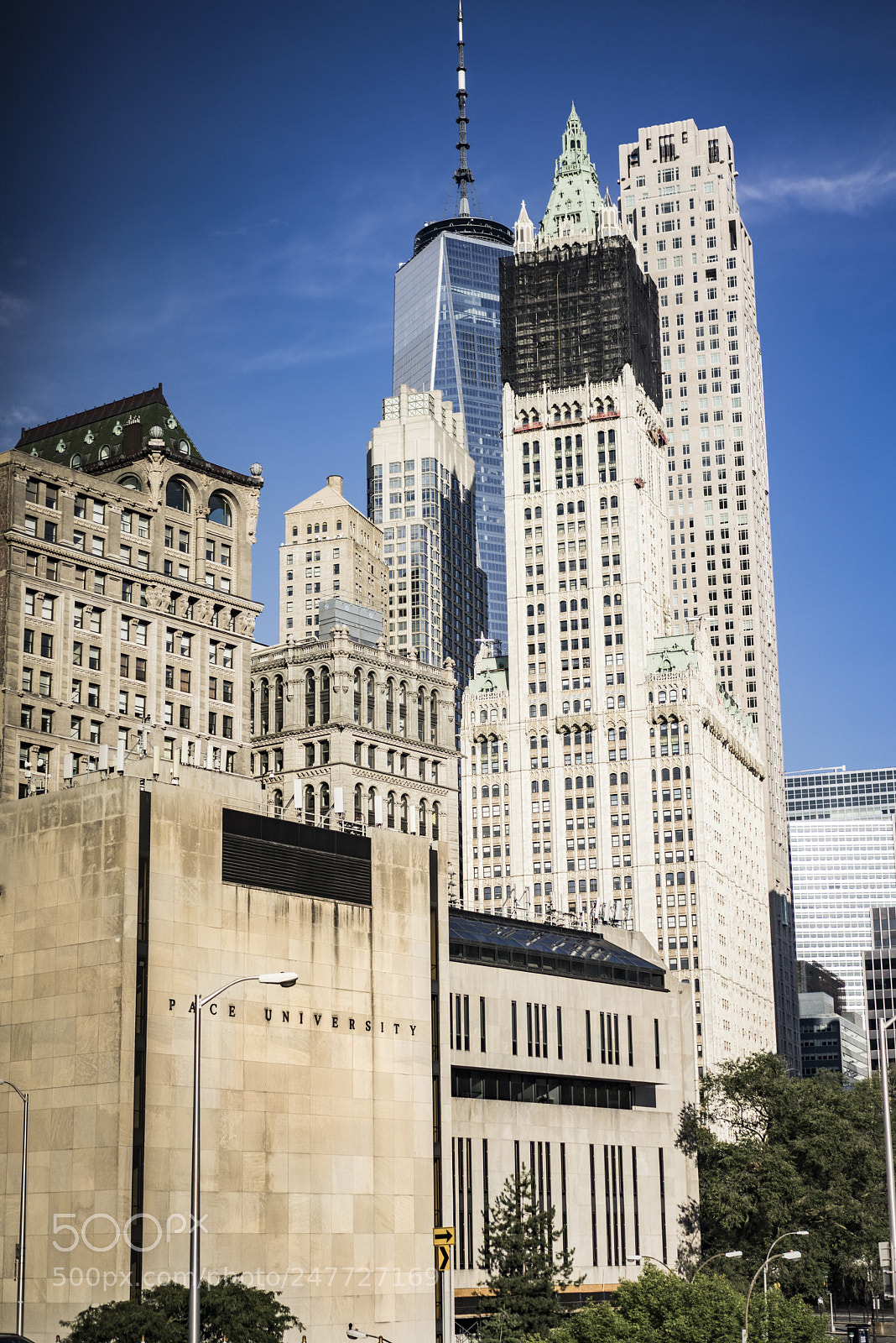 Sony a7R sample photo. Concrete jungle photography