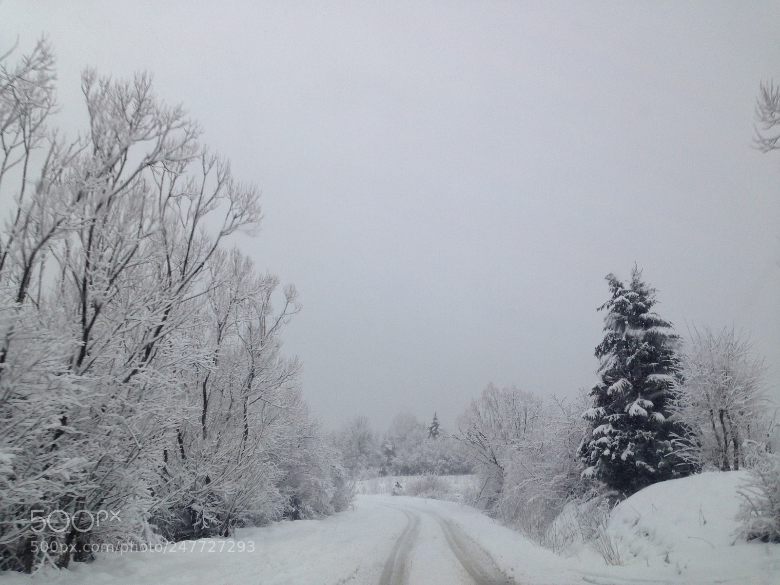 Apple iPhone 5 sample photo. Snow photography