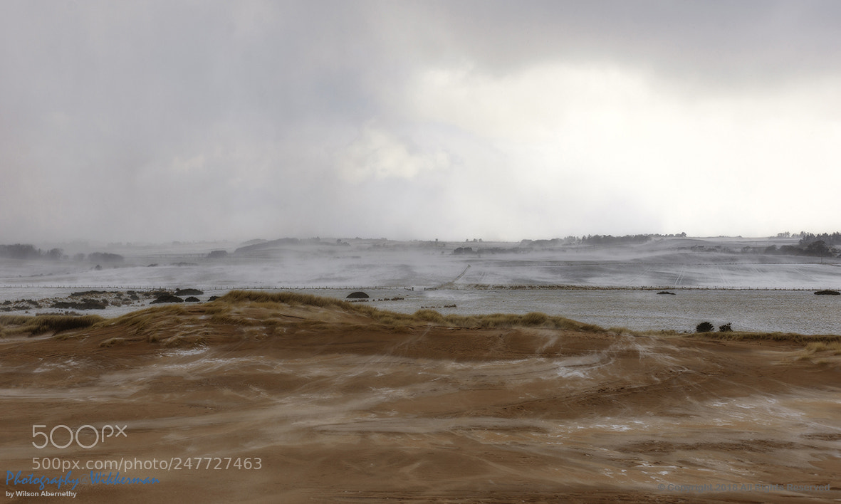 Nikon D800E sample photo. Siberian blast photography