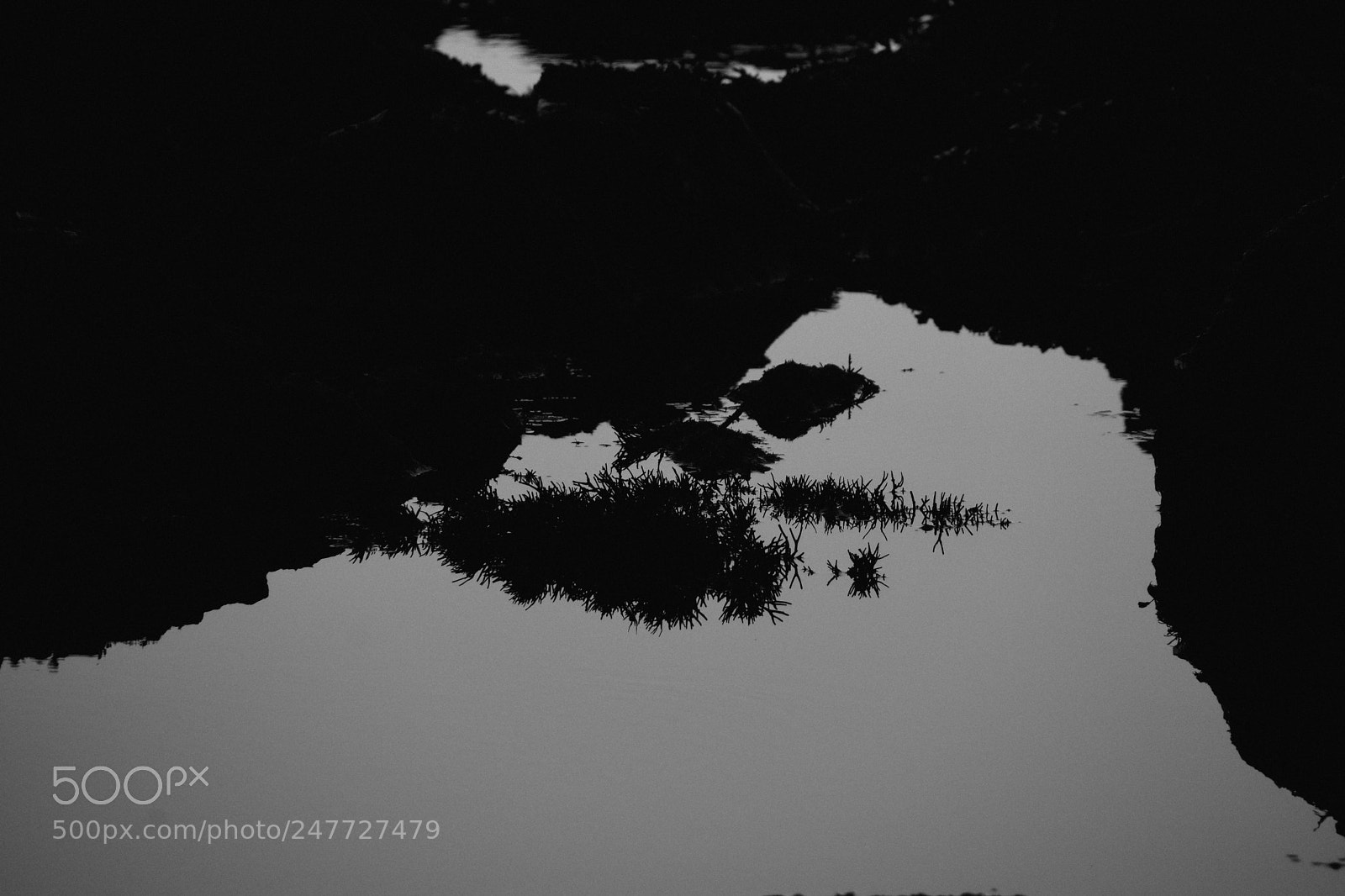 Nikon D7200 sample photo. Zen photography