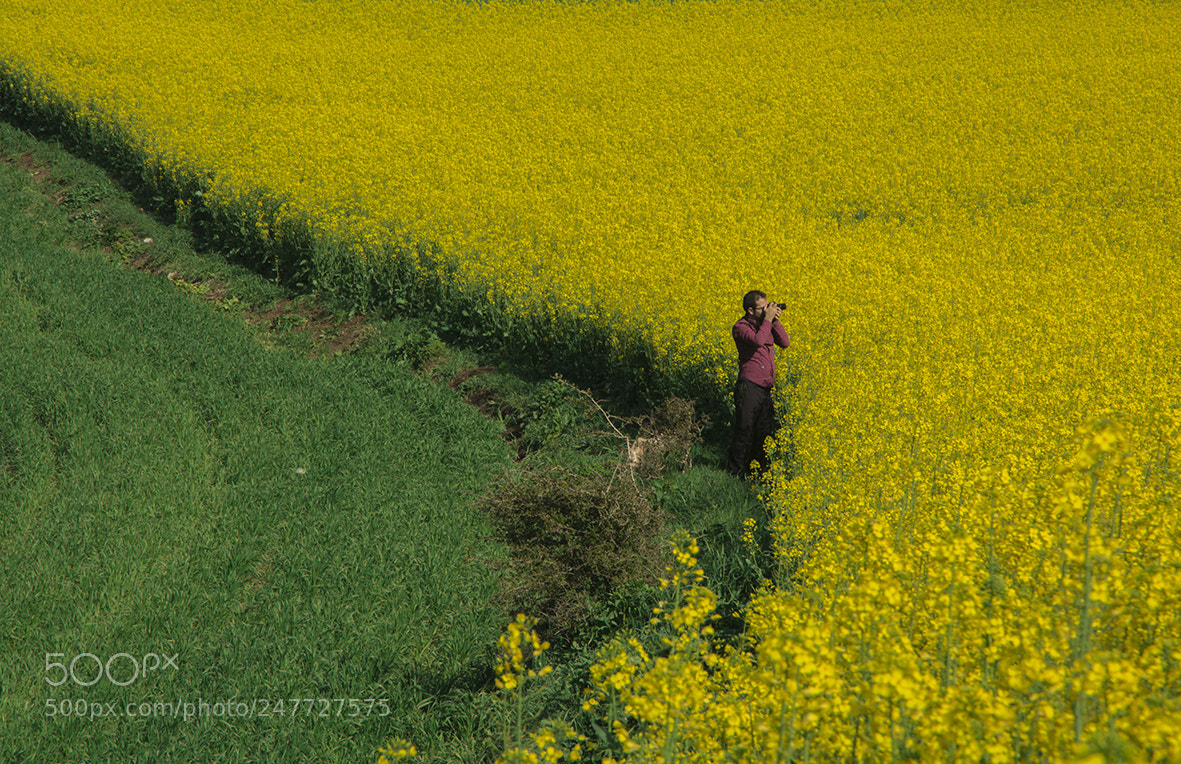 Nikon D7100 sample photo. Photographer in flowers photography