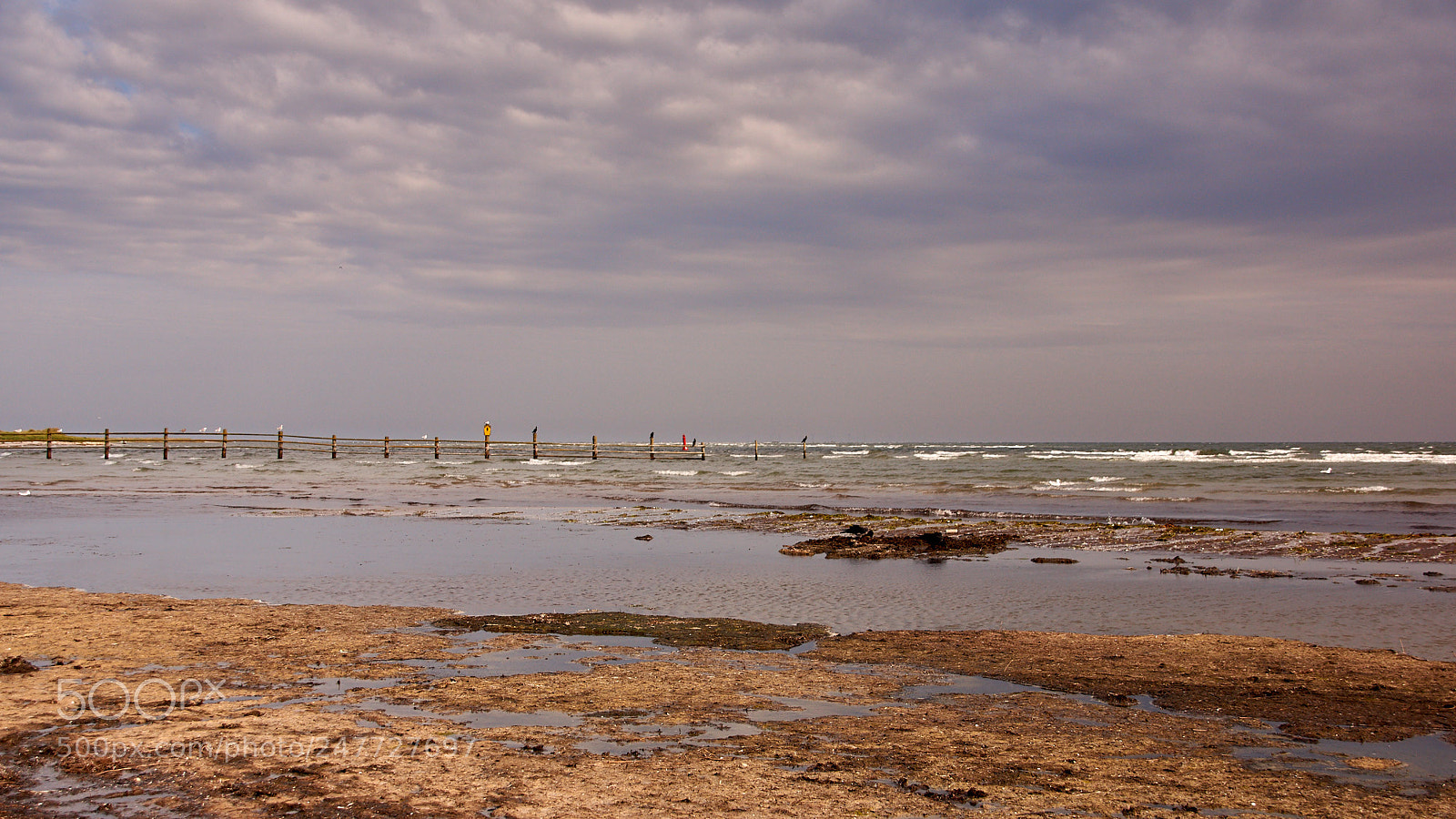 Sony SLT-A65 (SLT-A65V) sample photo. Seaside at darsser ort photography