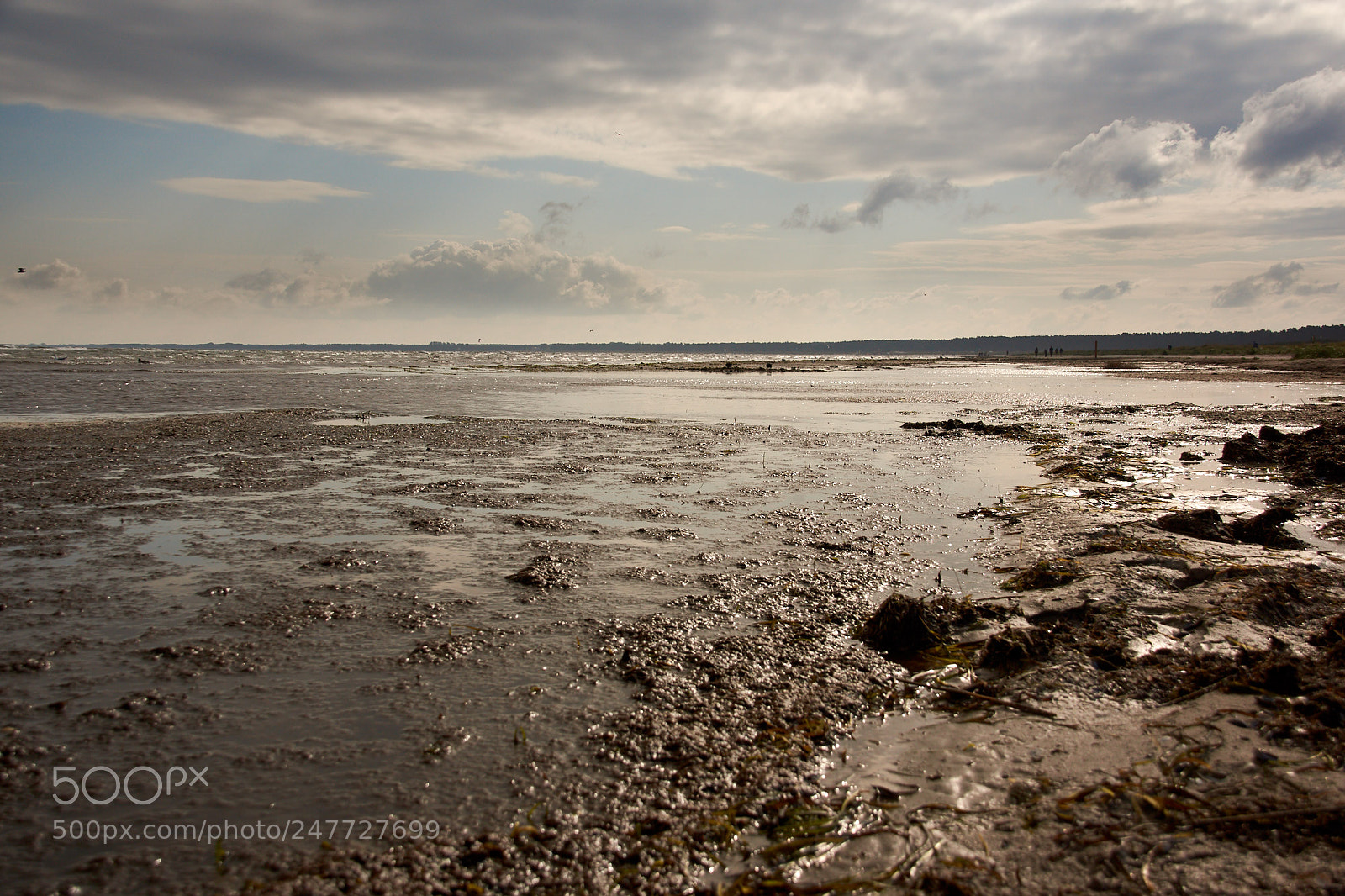 Sony SLT-A65 (SLT-A65V) sample photo. Coastline at darsser ort photography
