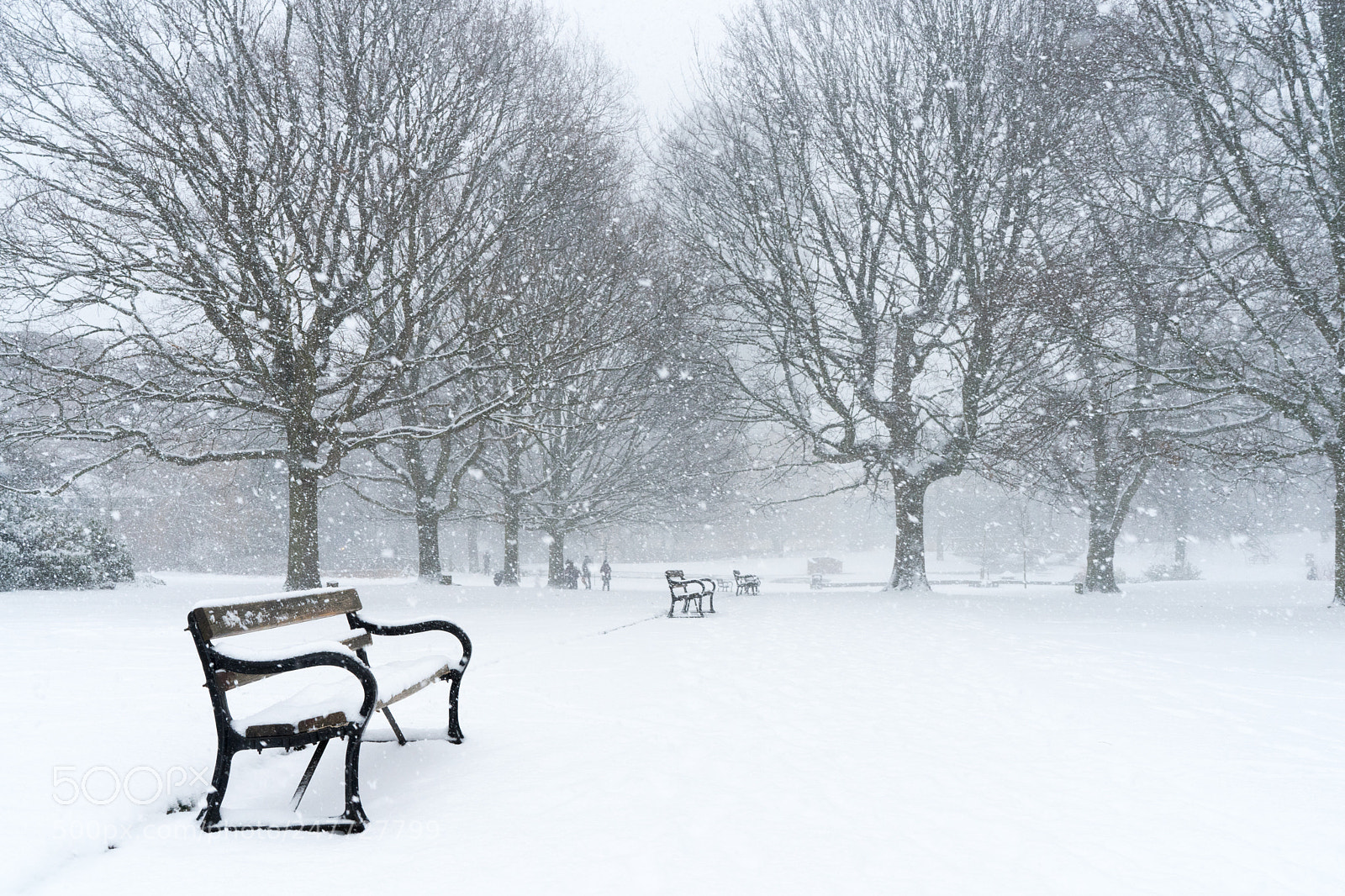 Sony a7 II sample photo. Snowmageddon hits the city photography