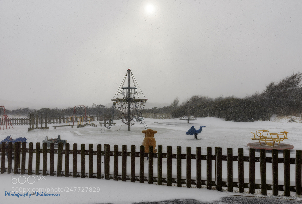 Nikon D800E sample photo. Frozen out photography