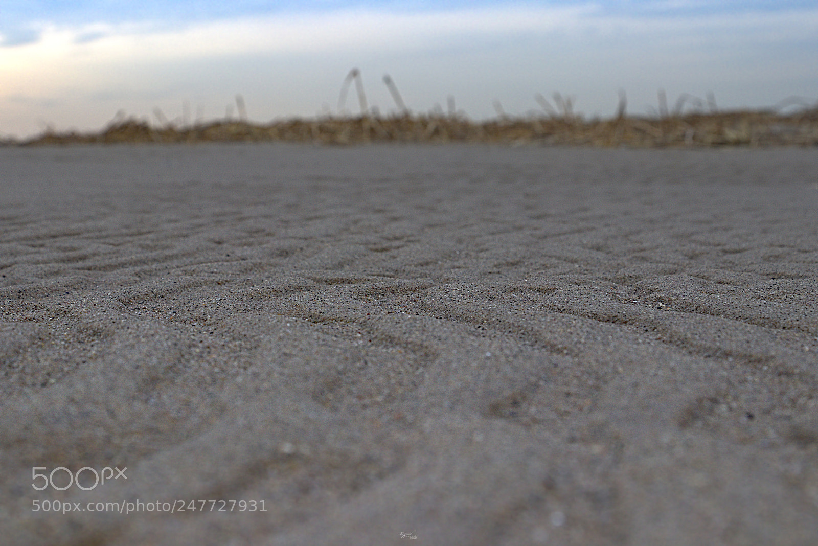 Canon EOS M5 sample photo. Patterns in the sand photography