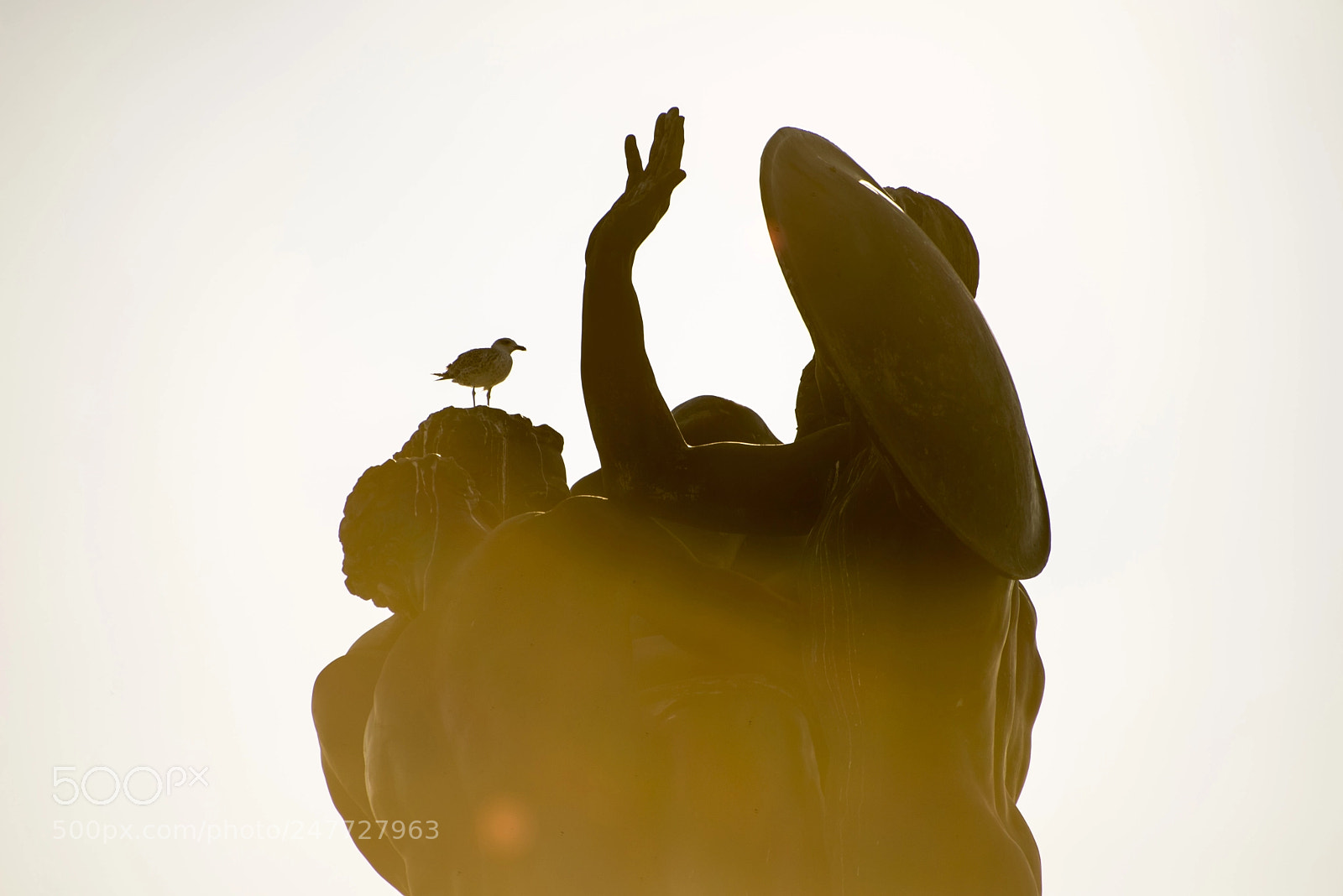Nikon D610 sample photo. Trieste at sunset photography