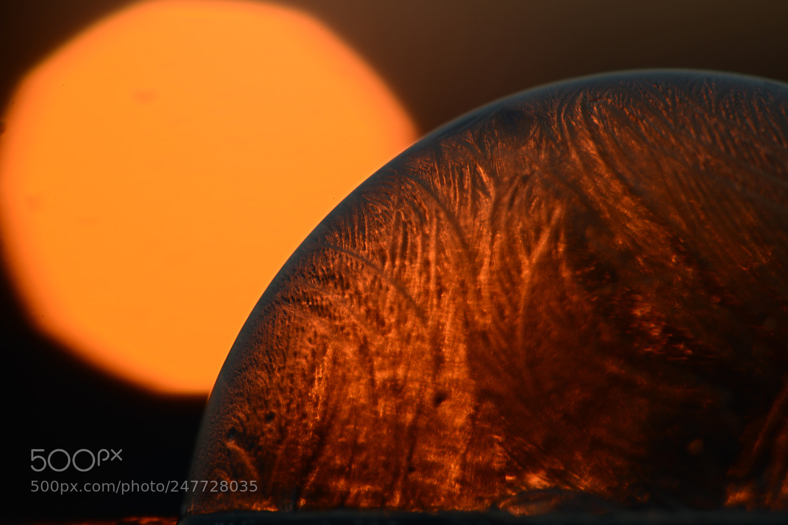 Nikon D800E sample photo. Frozen bubble in the photography