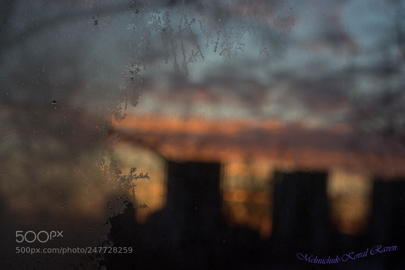Nikon D5200 sample photo. Froze on window photography