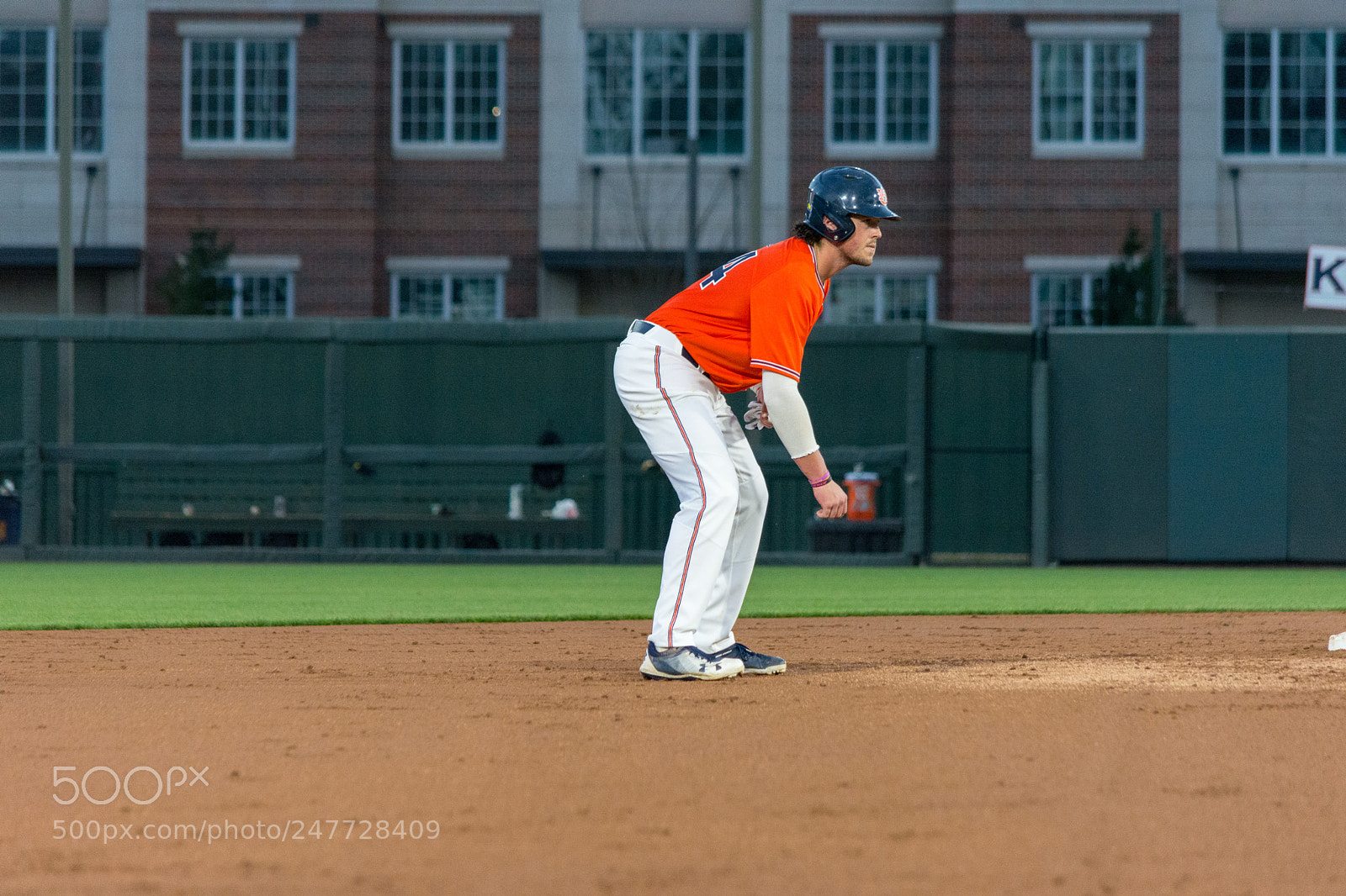 Nikon D5200 sample photo. Auburn vs bryant baseball 8 photography