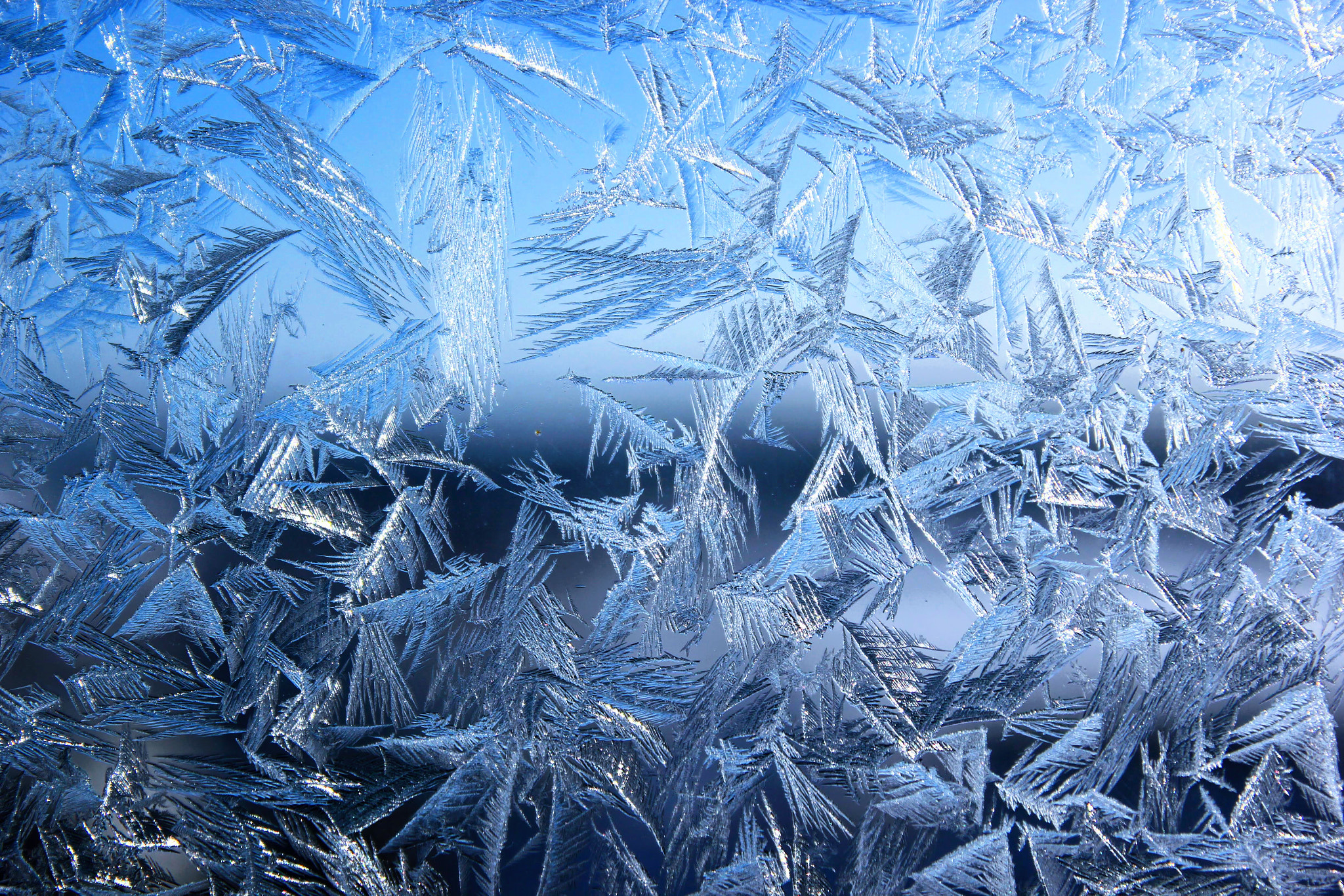 Canon EOS 550D (EOS Rebel T2i / EOS Kiss X4) sample photo. Frozen glass photography