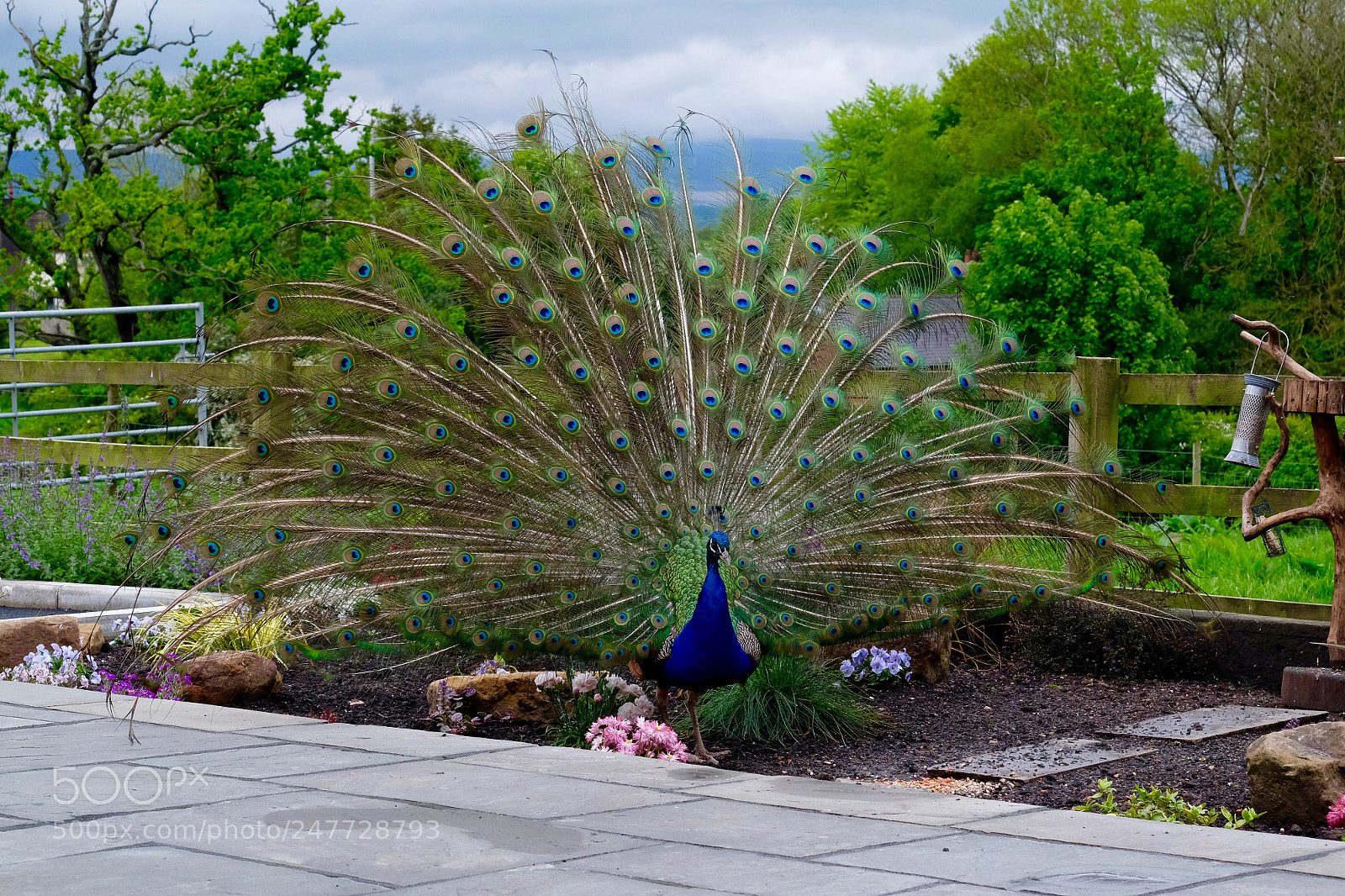 Fujifilm X-T1 sample photo. Untitled photography