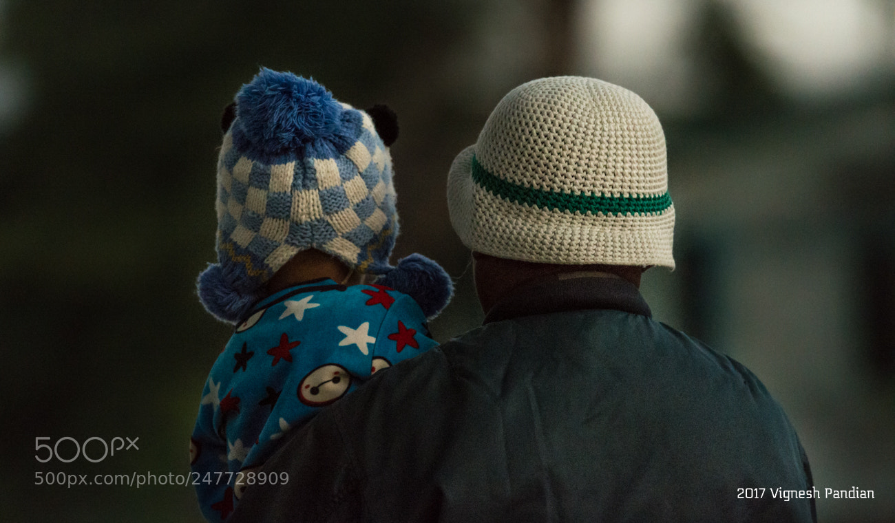 Nikon D800 sample photo. Shoulder of support photography