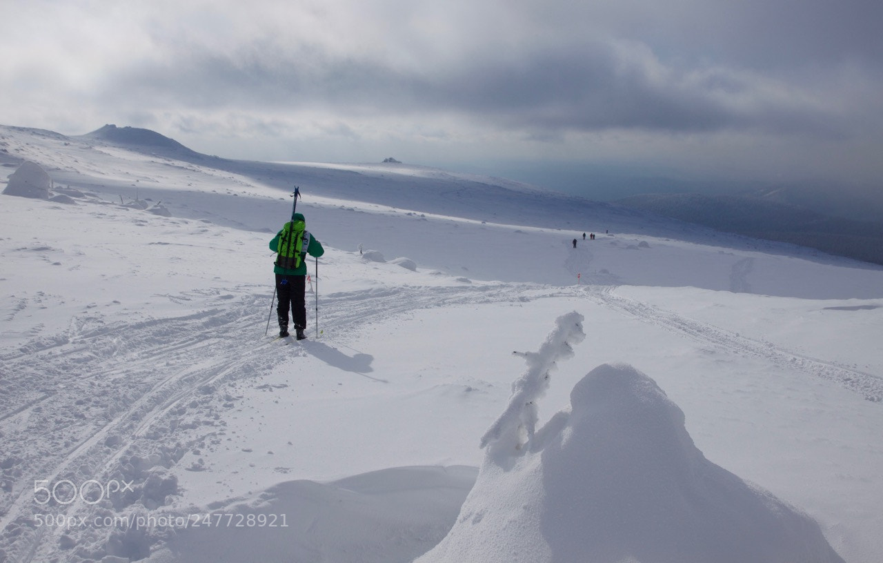 Canon EOS 50D sample photo. 43 km of adventure, marathon photography