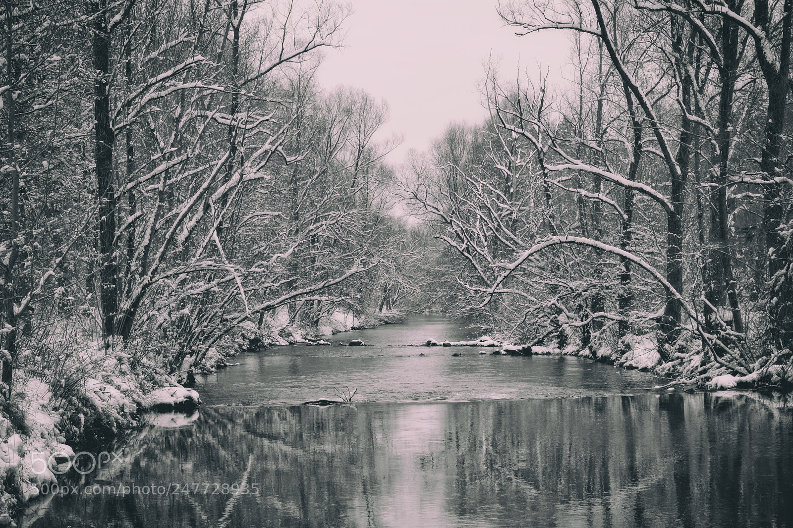 Nikon D7100 sample photo. Winterwonderland photography