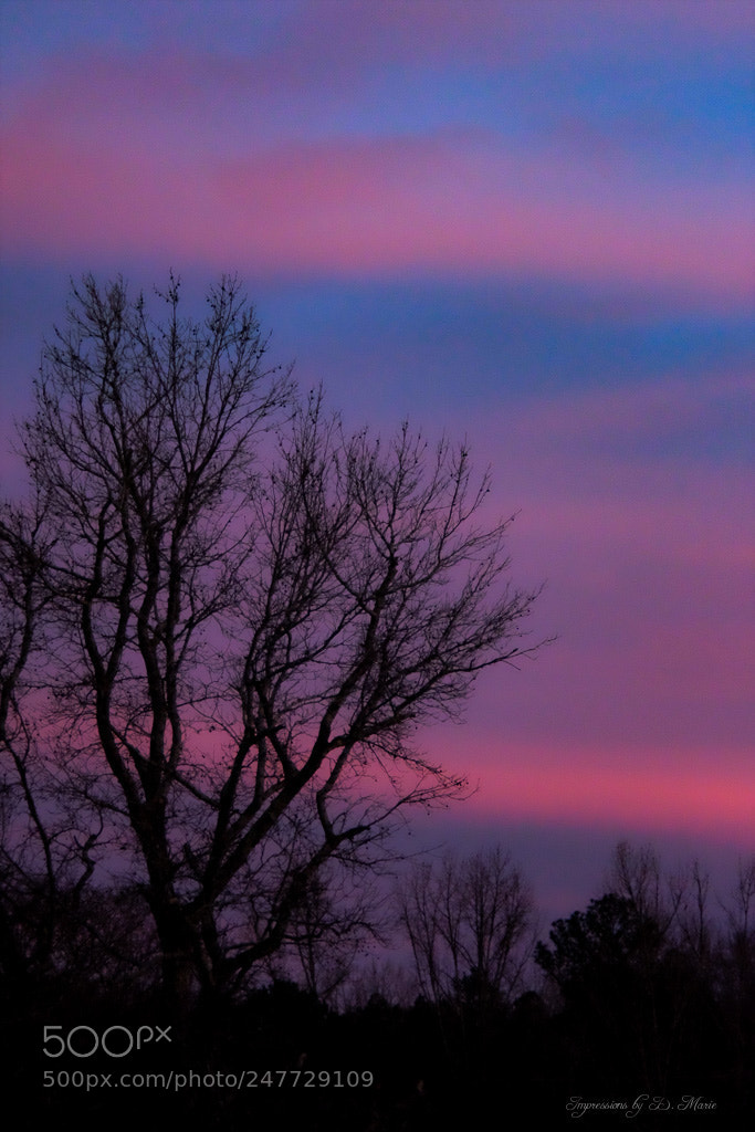Fujifilm X-T10 sample photo. Blue and pink sunset photography