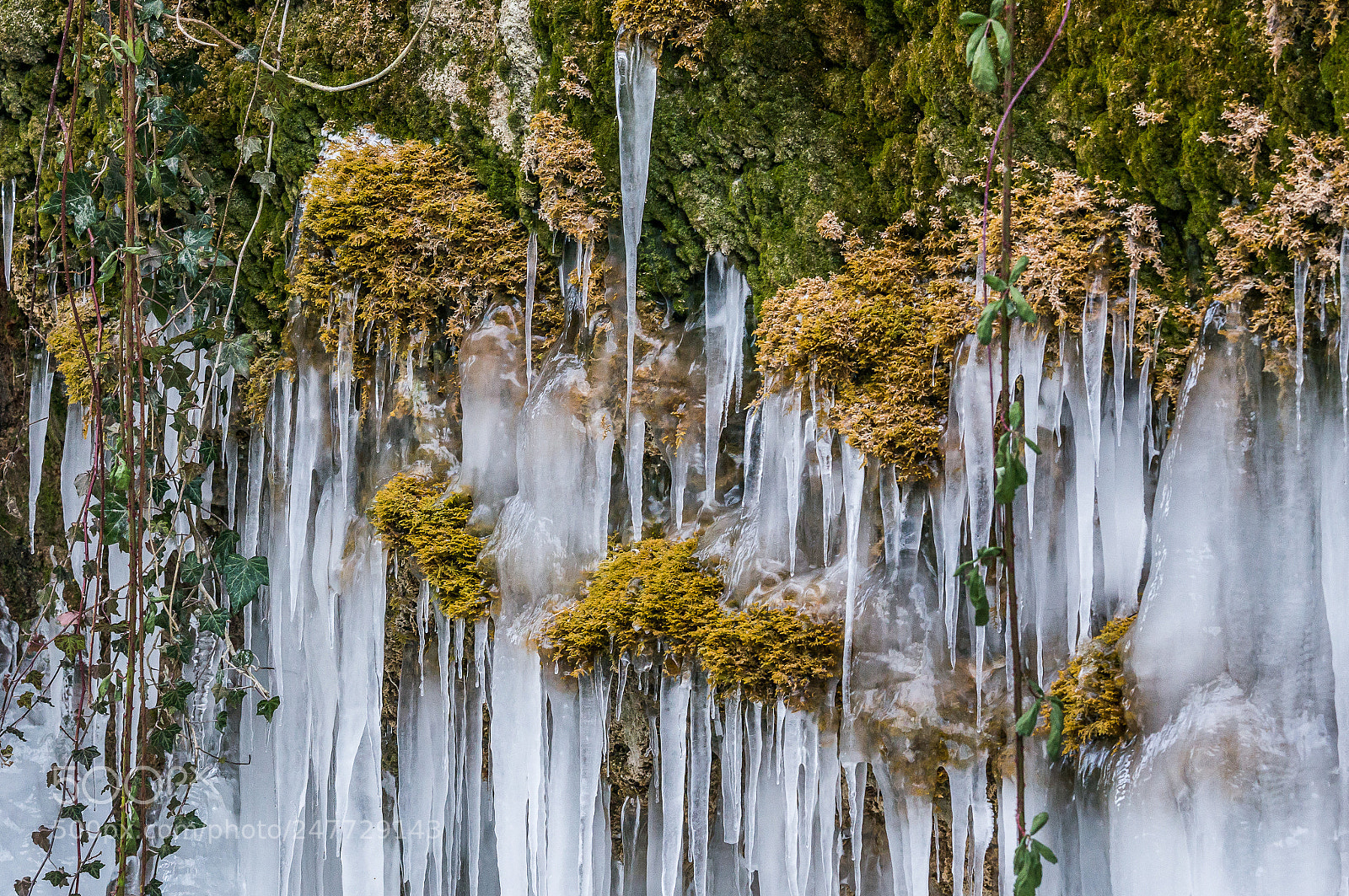 Sony Alpha NEX-6 sample photo. Wall of ice iii photography