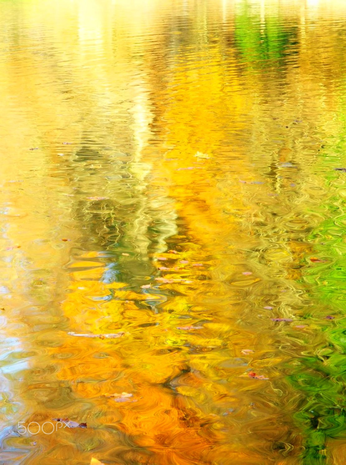 PENTAX RICOH IMAGING PENTAX MX-1 sample photo. Autumn reflections on the lake photography