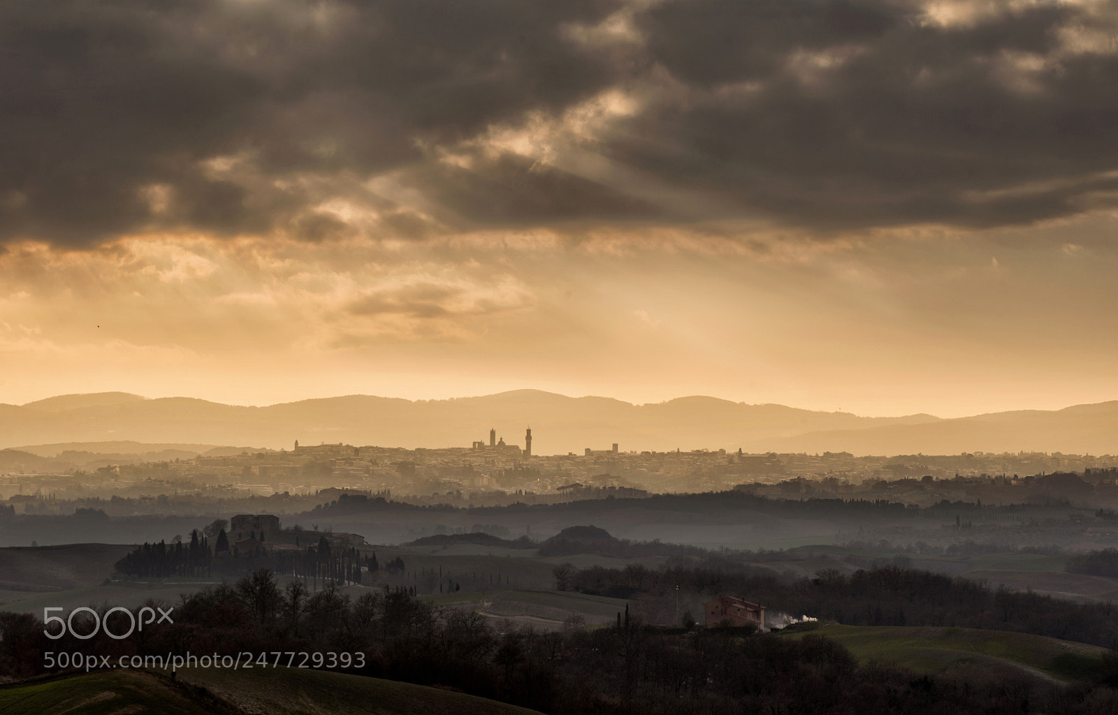 Nikon D610 sample photo. Terra di siena photography