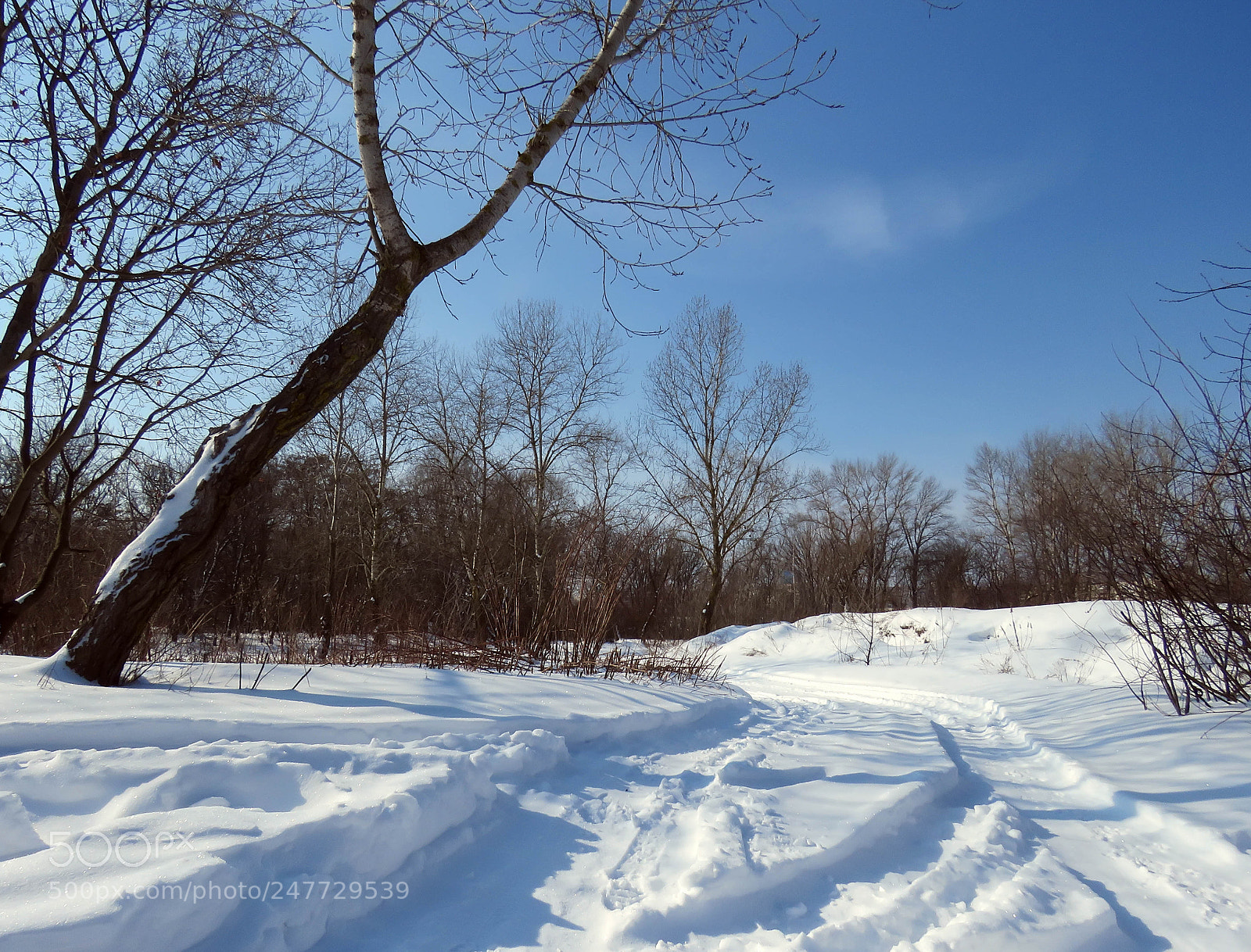 Canon PowerShot SX60 HS sample photo. Winter road on a photography