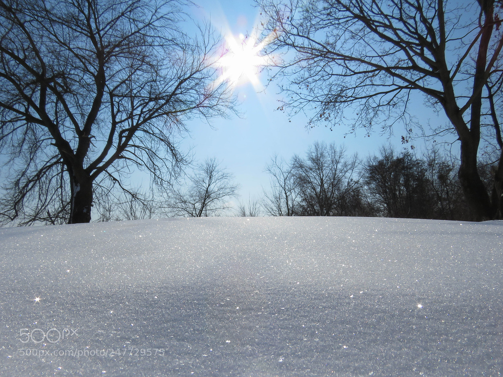 Canon PowerShot SX60 HS sample photo. Sunny winter day photography