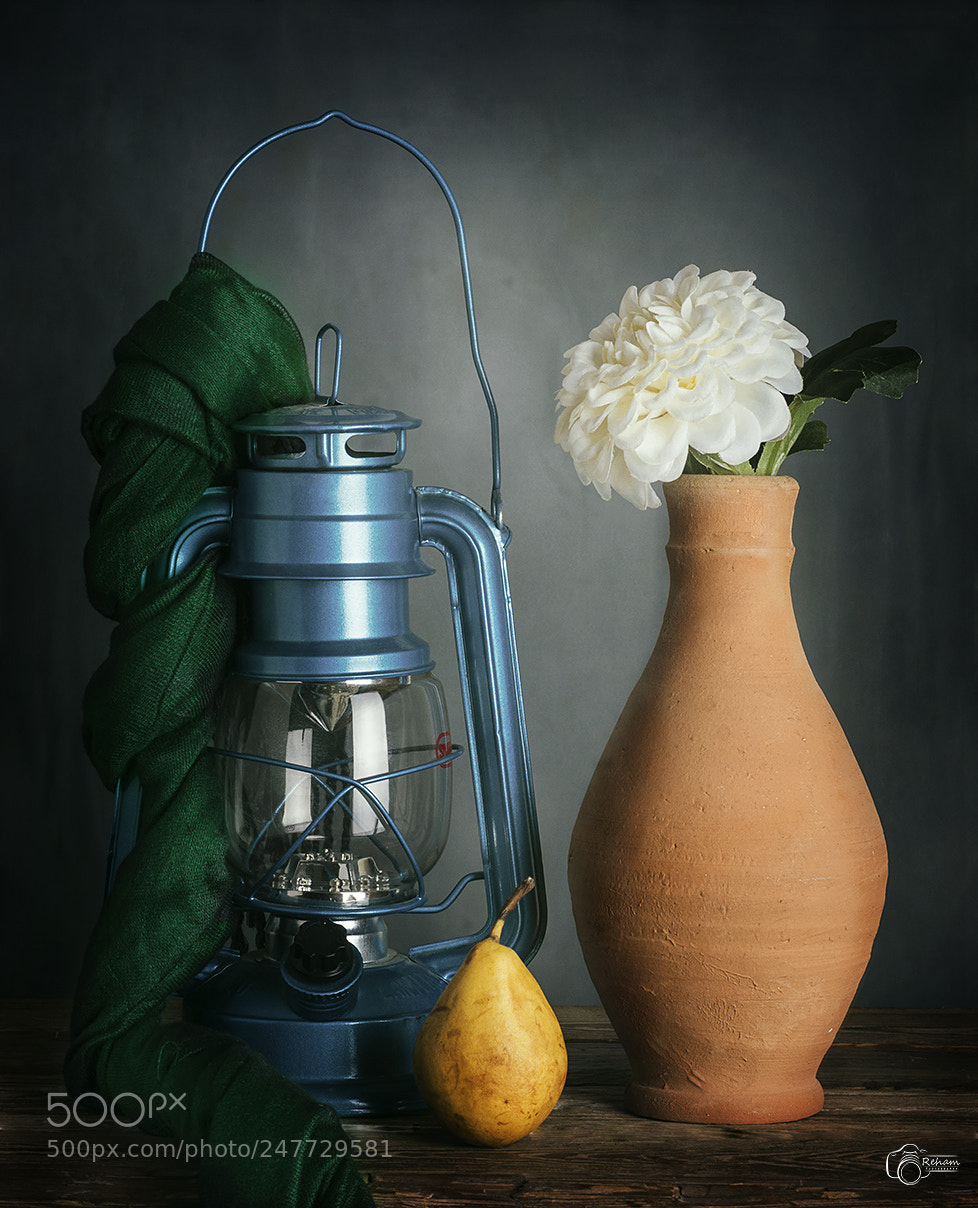 Nikon D3200 sample photo. 0028.jpg photography
