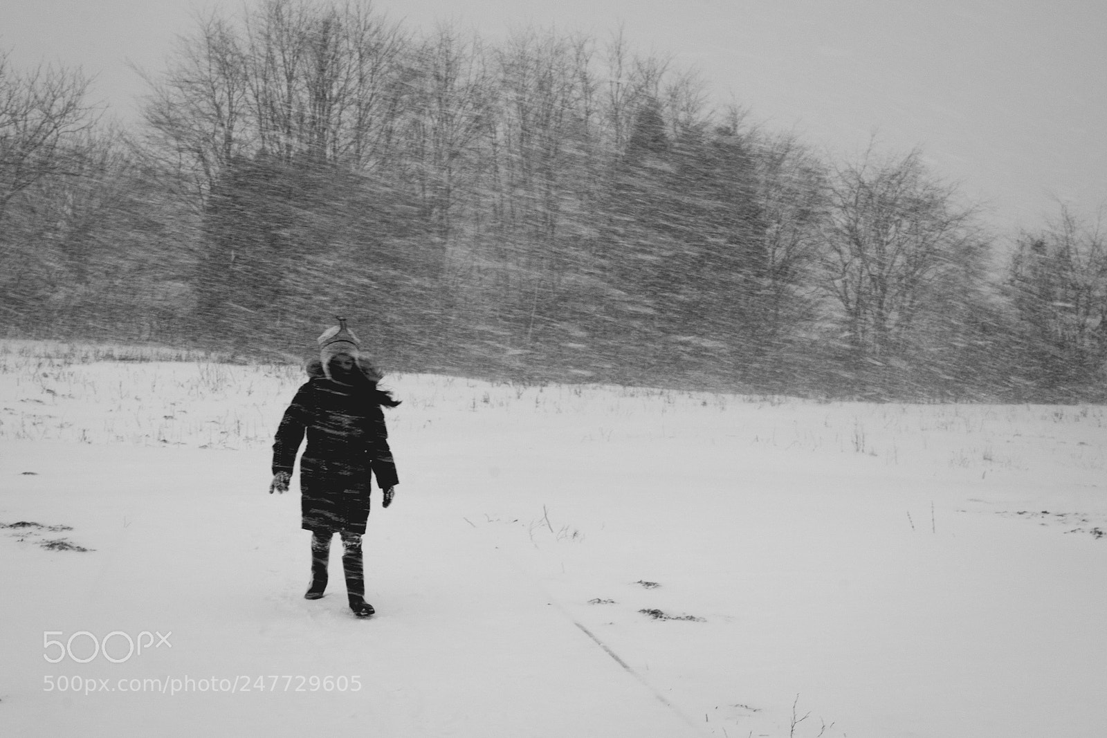 Nikon D7100 sample photo. Snow photography